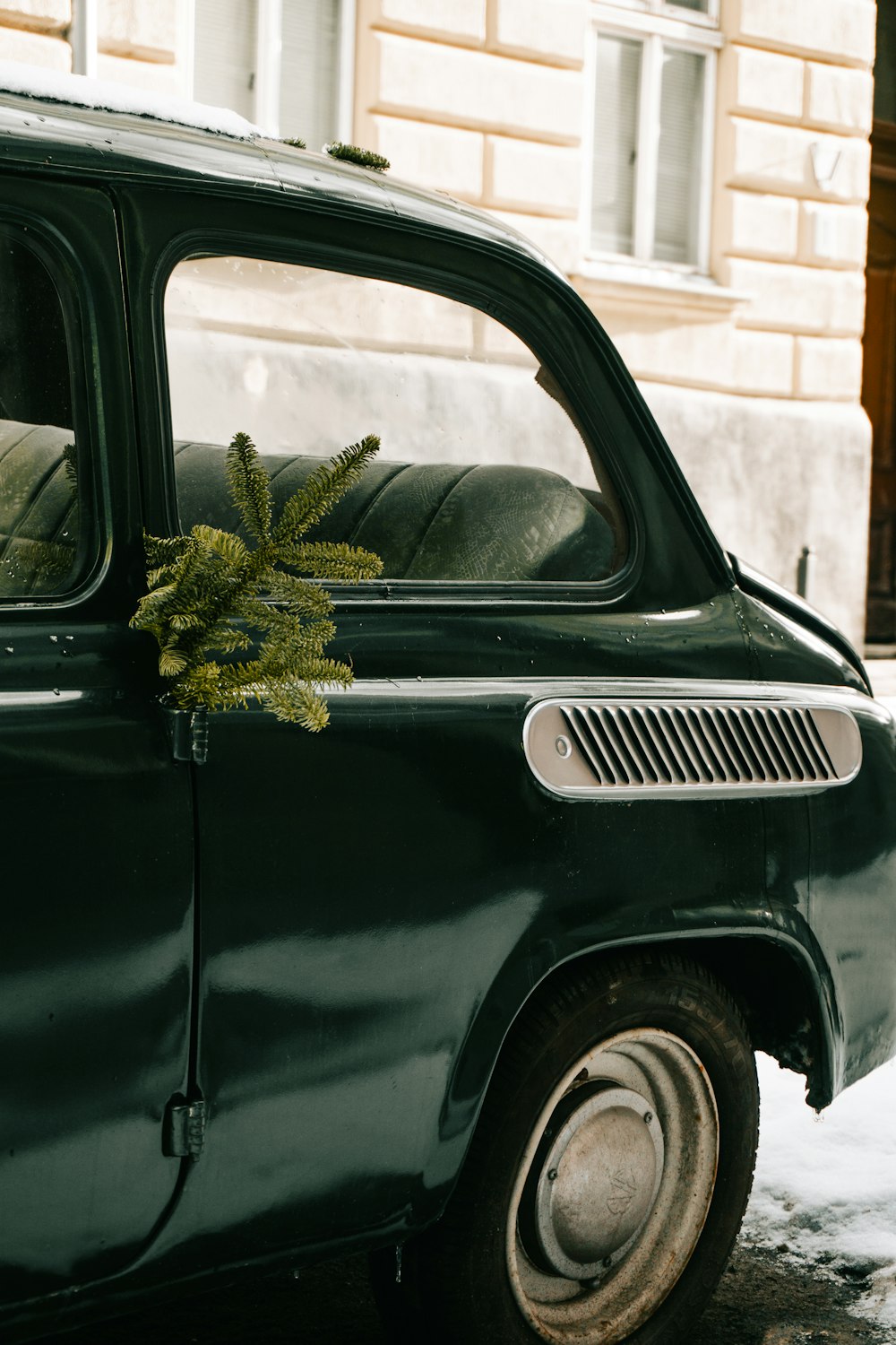 a green car with a small tree in the back