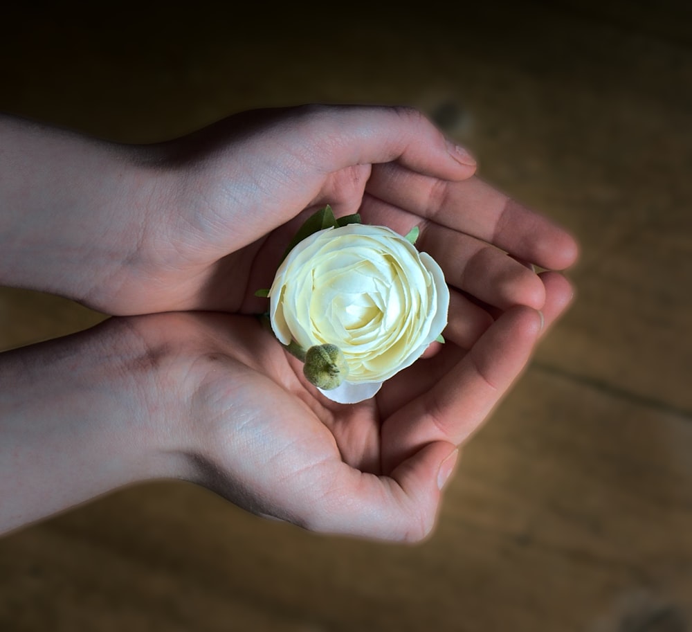 a person holding a flower in their hands