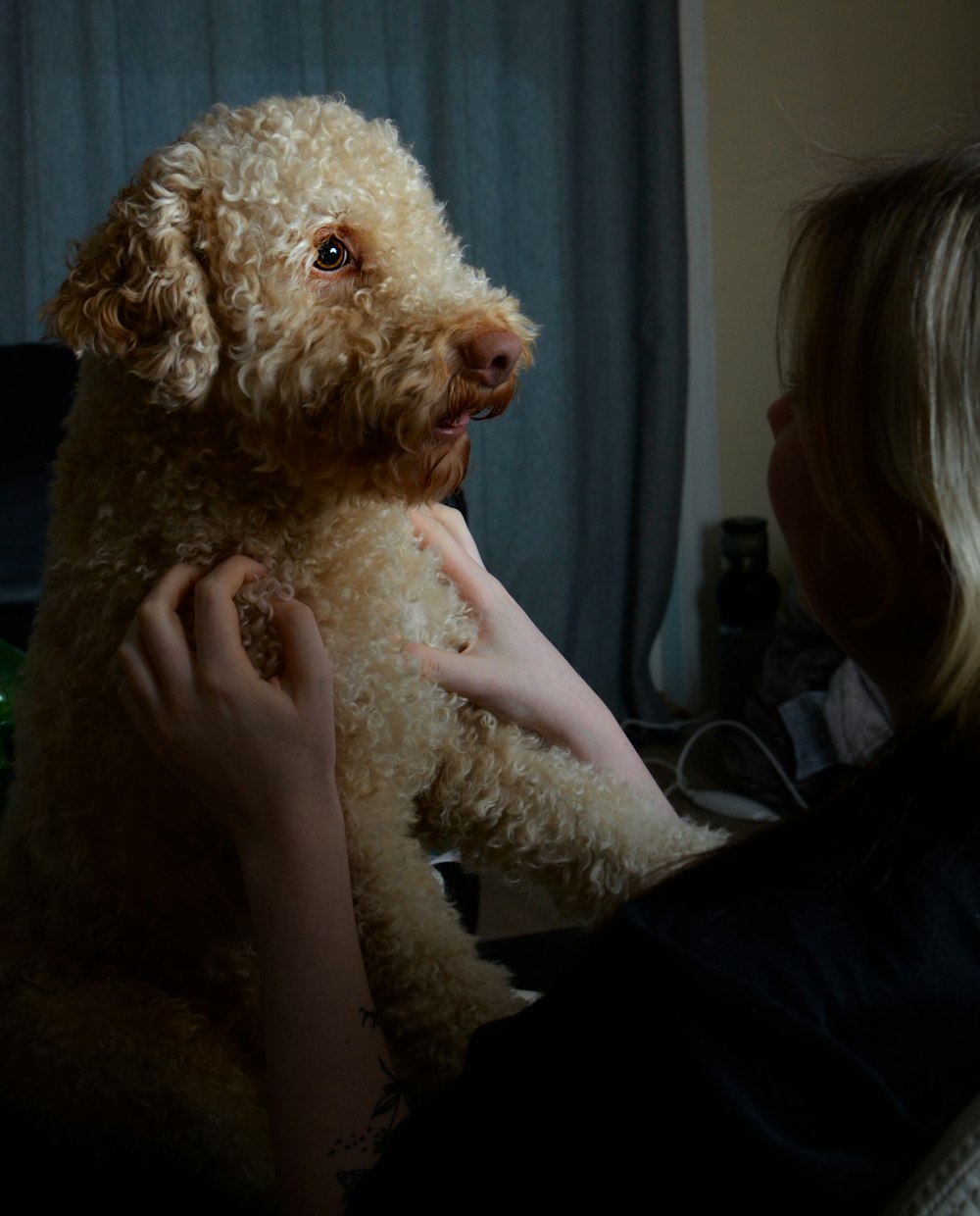 a woman holding a dog in her arms