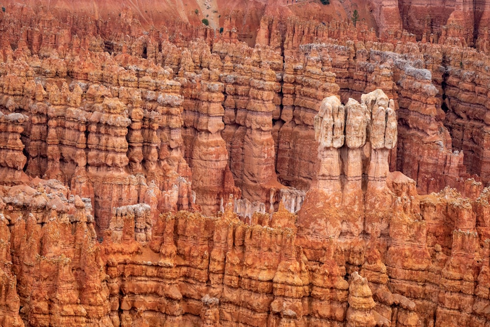 a large group of rocks in the middle of a canyon