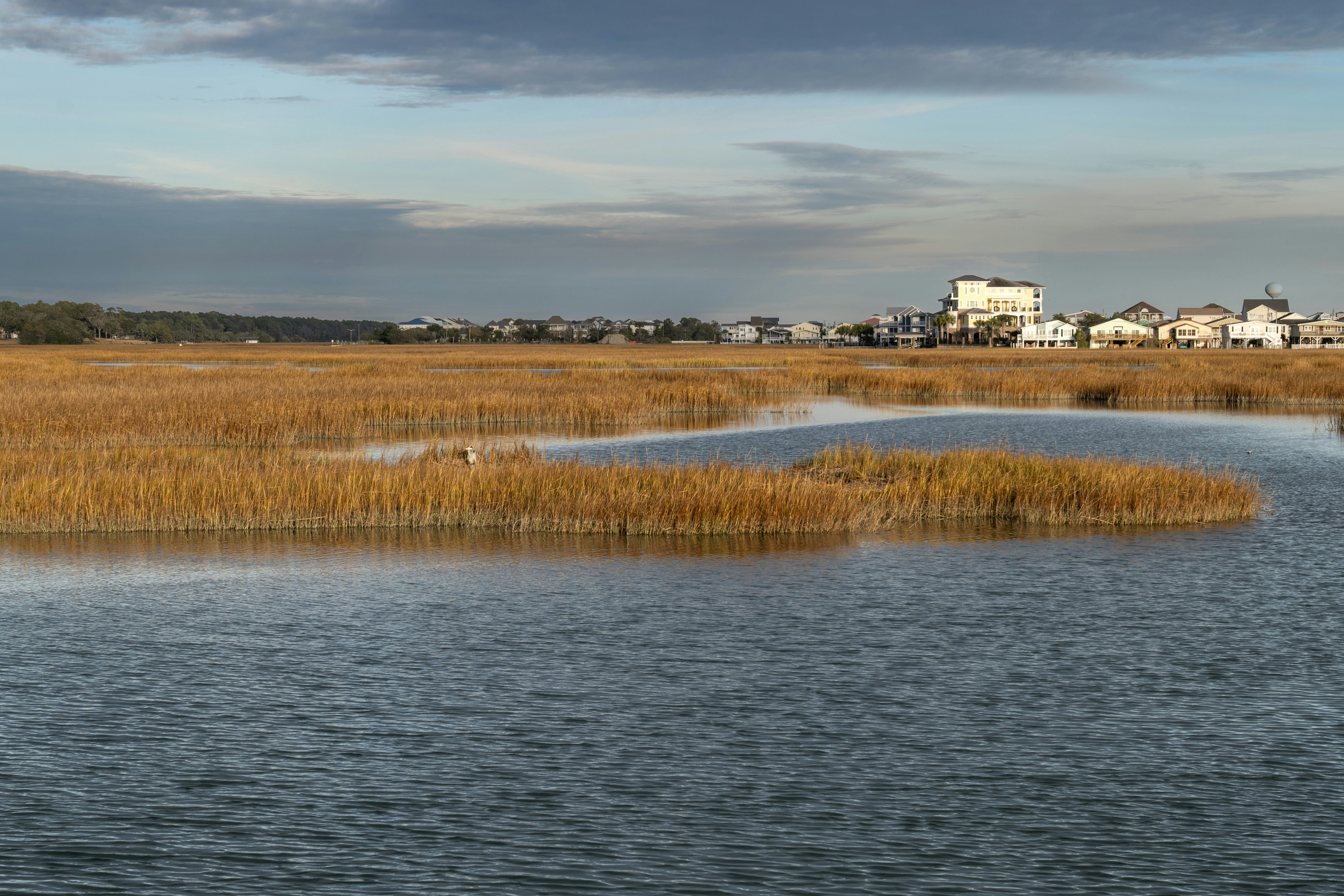 ein Gewässer, das von hohem Gras umgeben ist