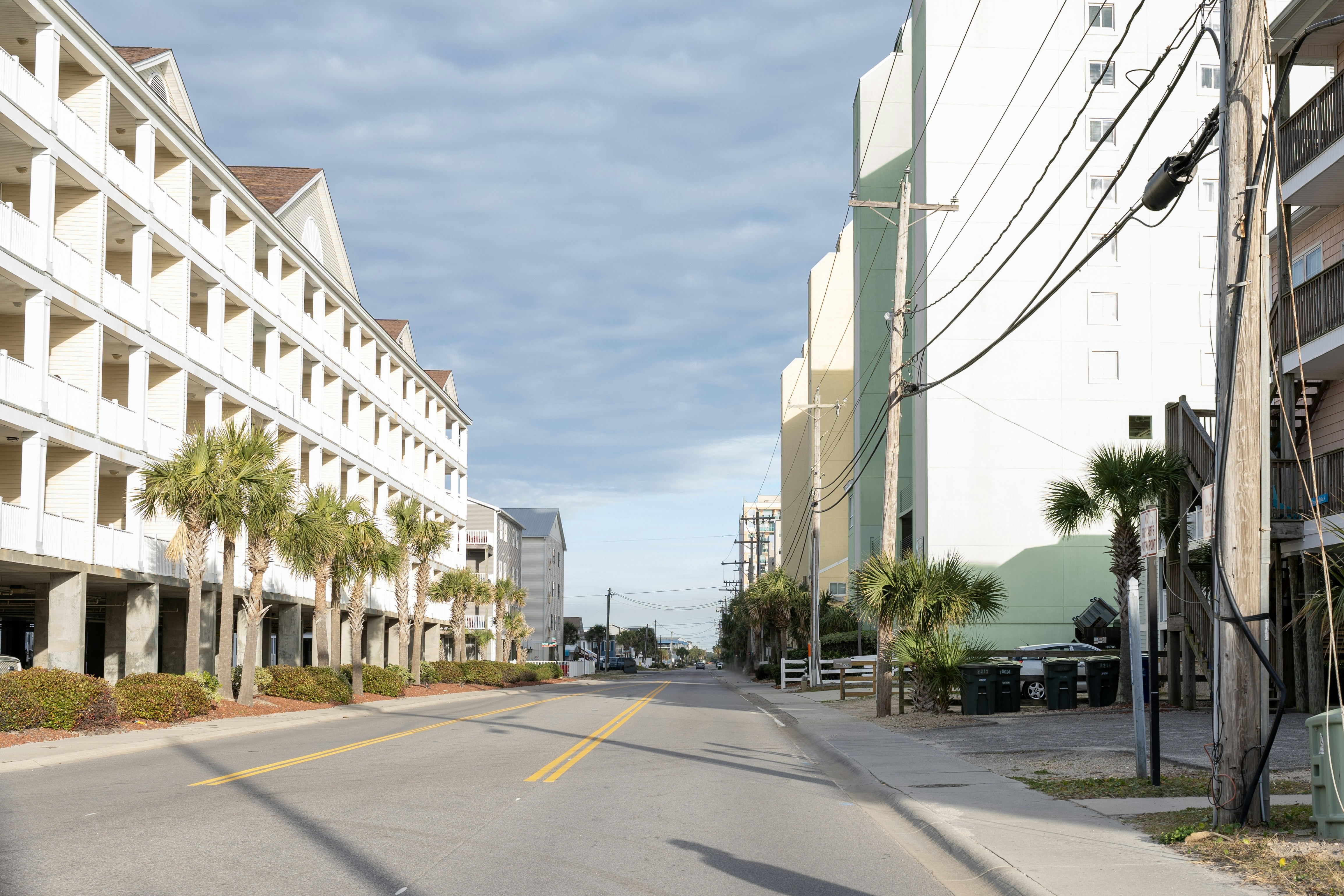 an empty street with palm trees and buildings in the background