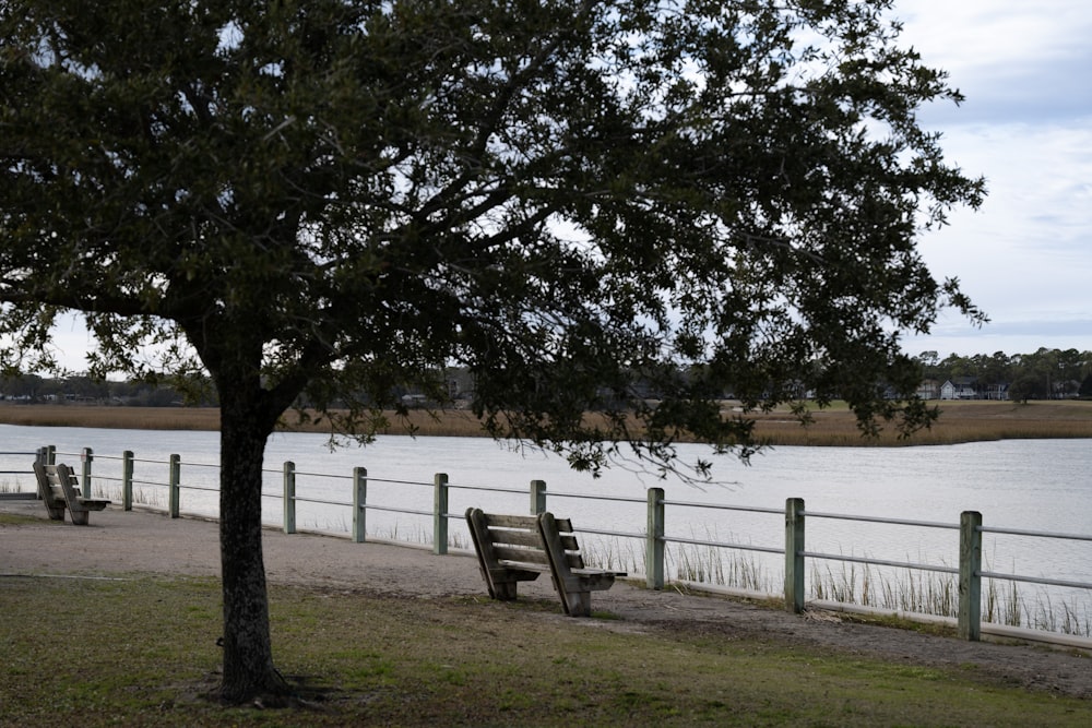 a couple of park benches sitting next to a lake