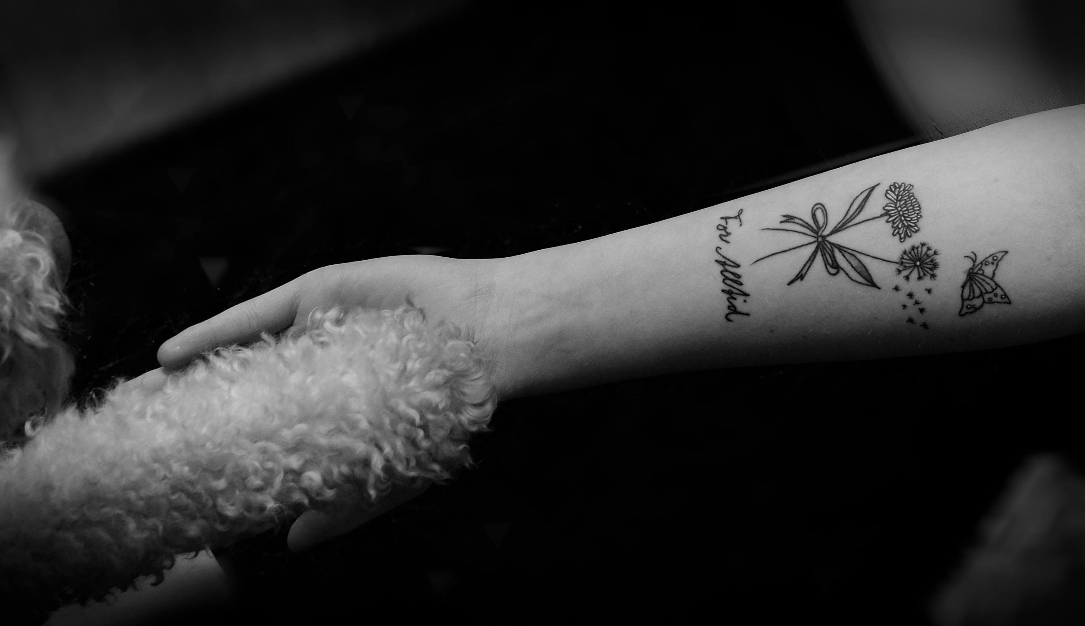 Собака кожа