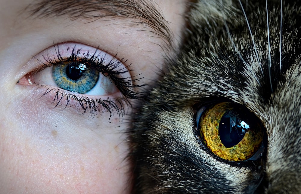 a close up of a person with a cat's eye