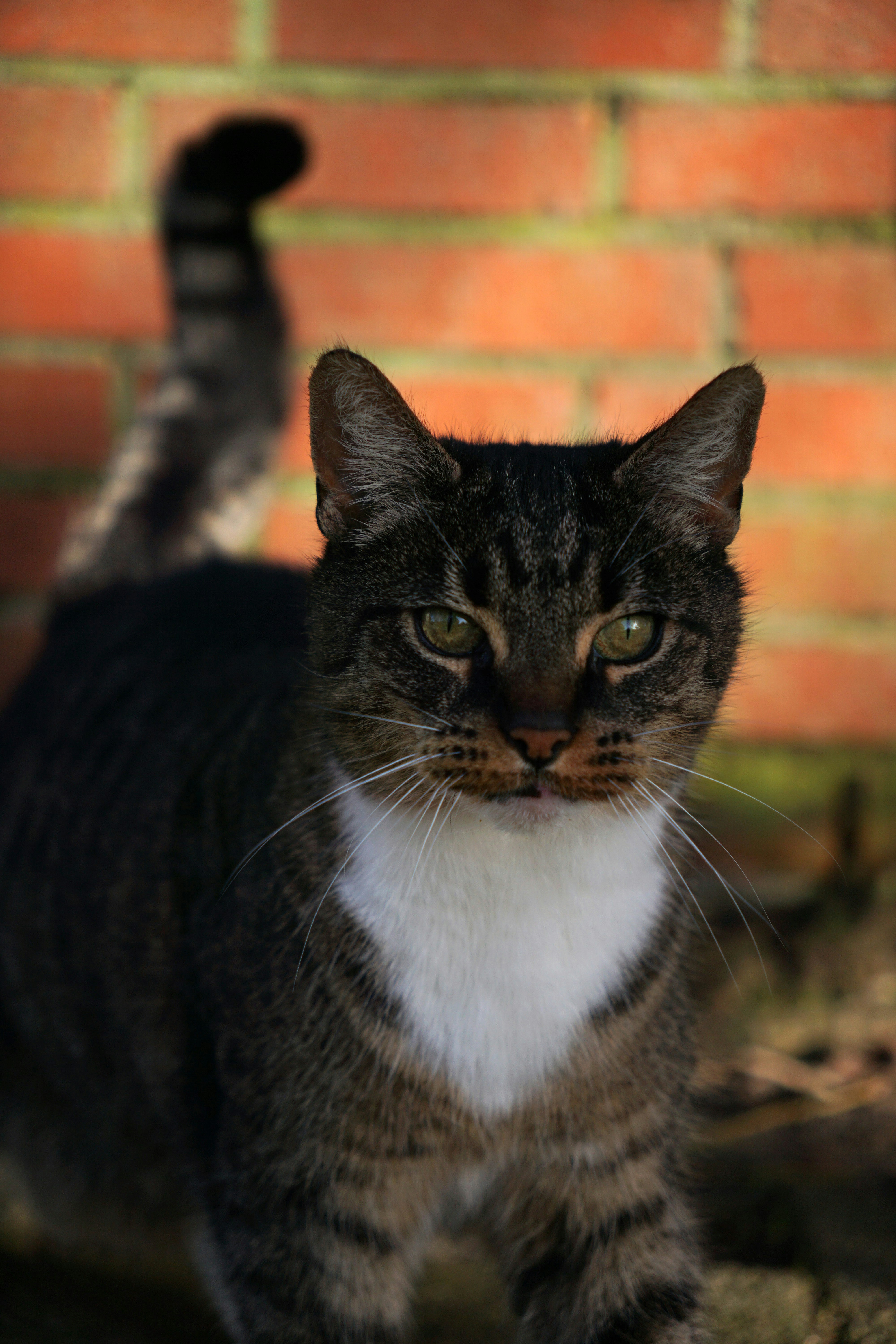 Photo by kyantijhuis