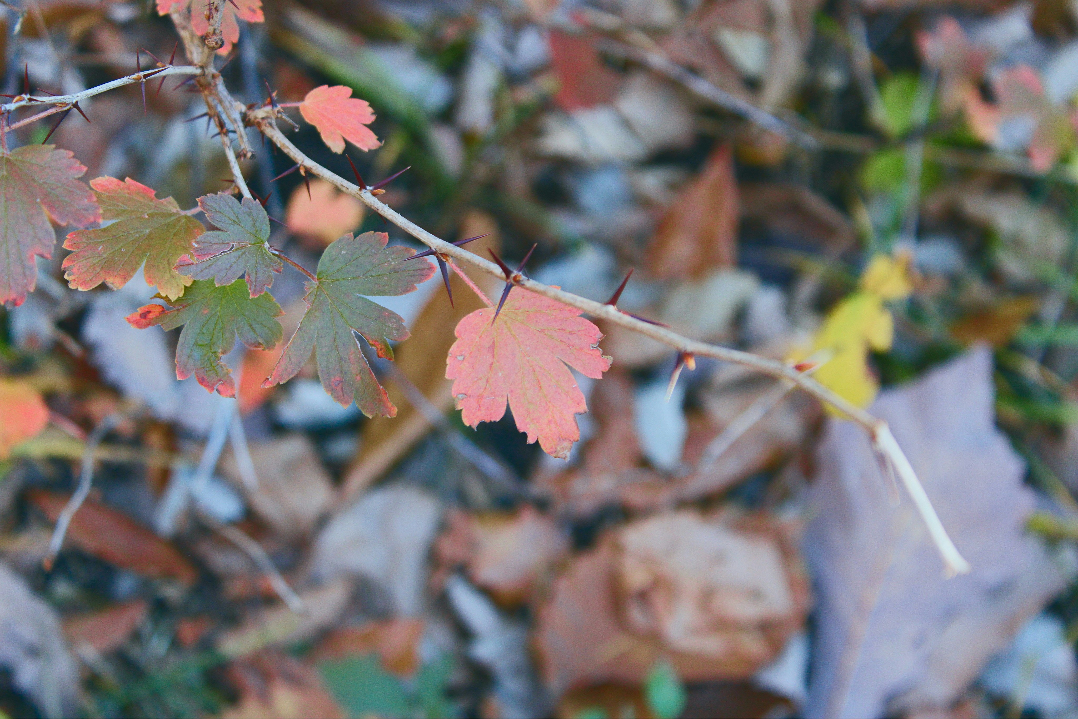 Photo by vivalavida_009