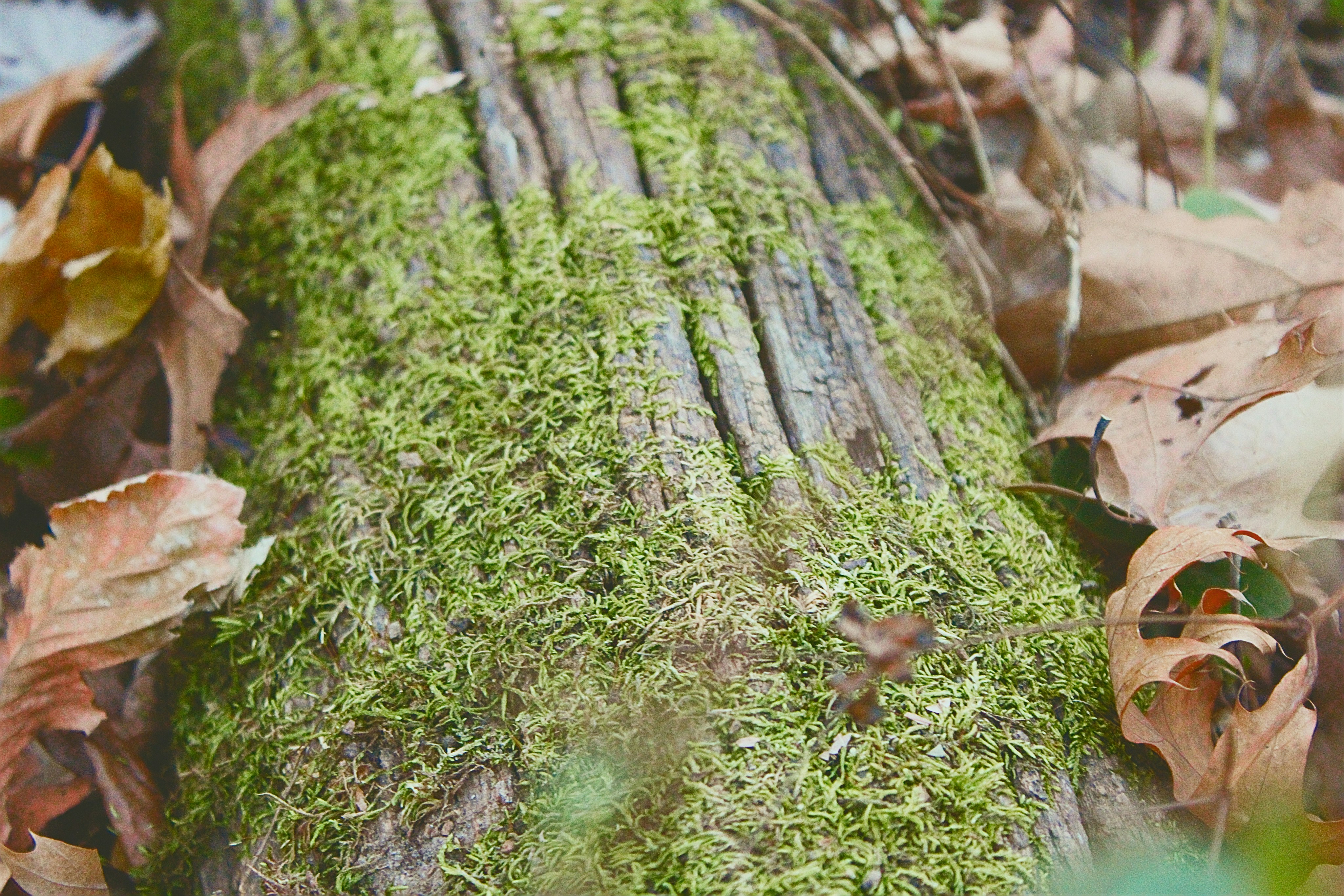 Photo by vivalavida_009