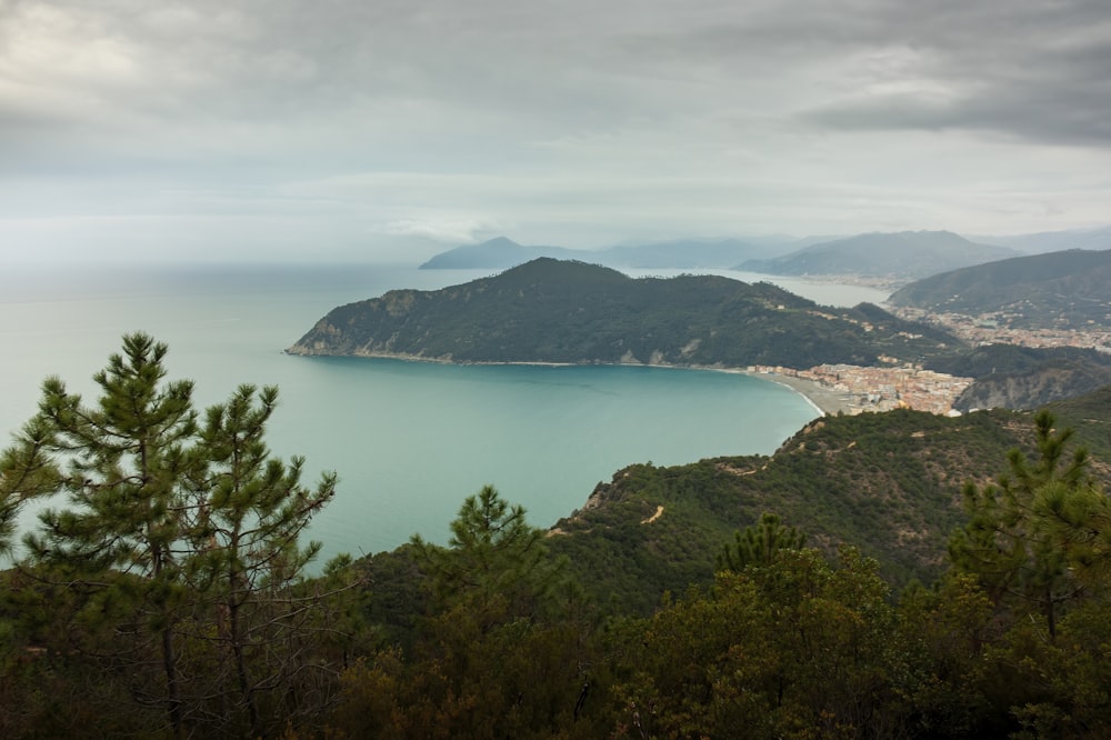 a large body of water surrounded by trees