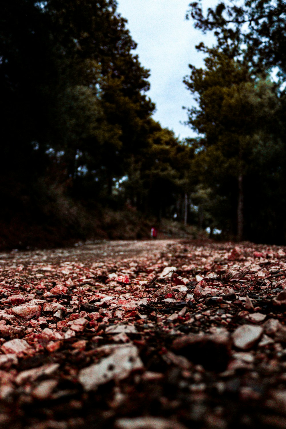 un segnale di stop rosso seduto sul ciglio di una strada