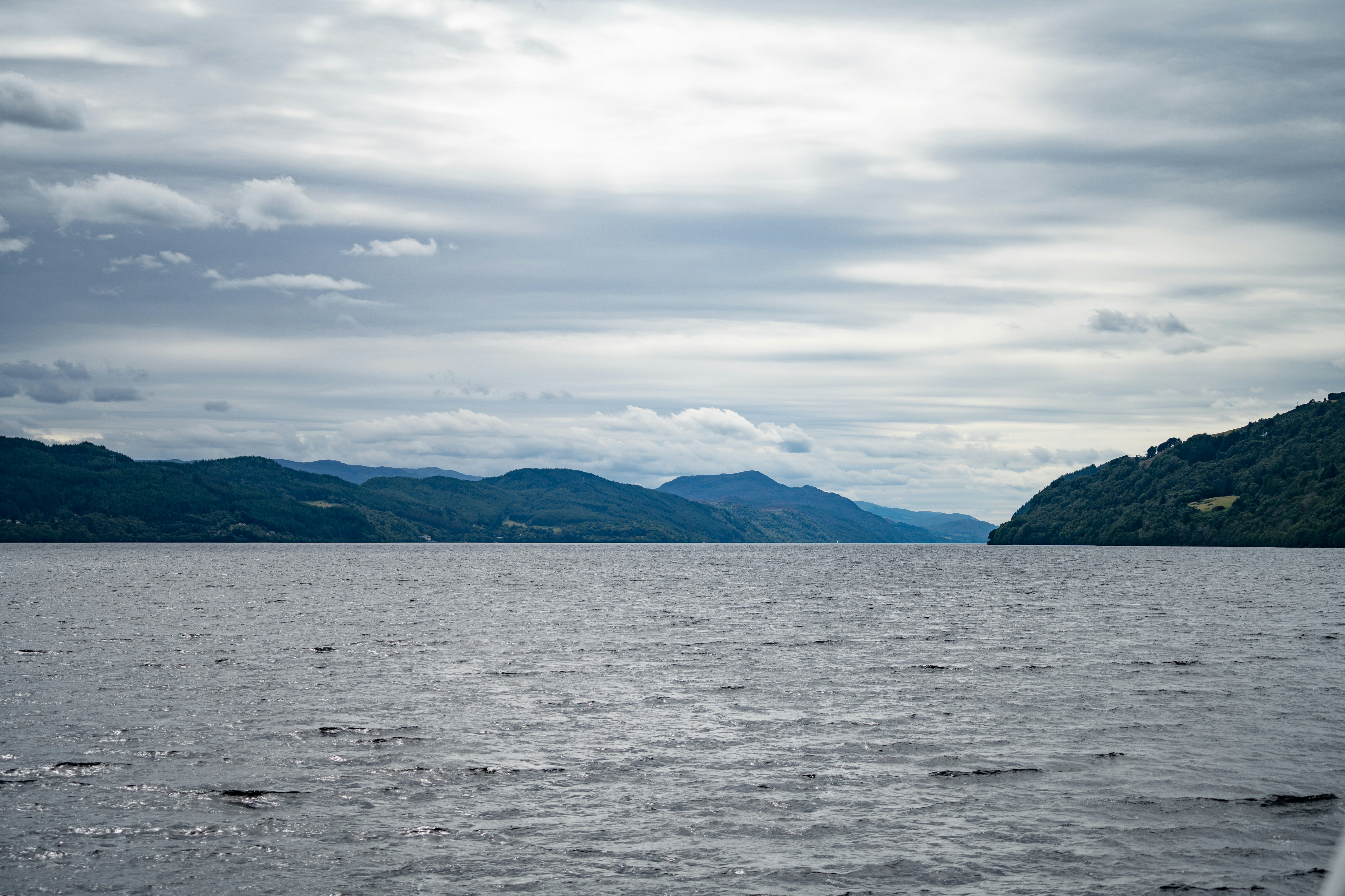 Photo by winstontjia