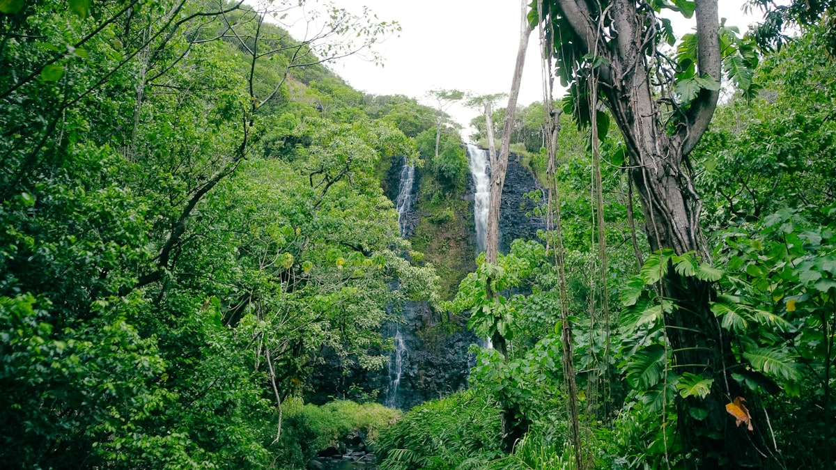 Ghana travel — adventure activities ghana