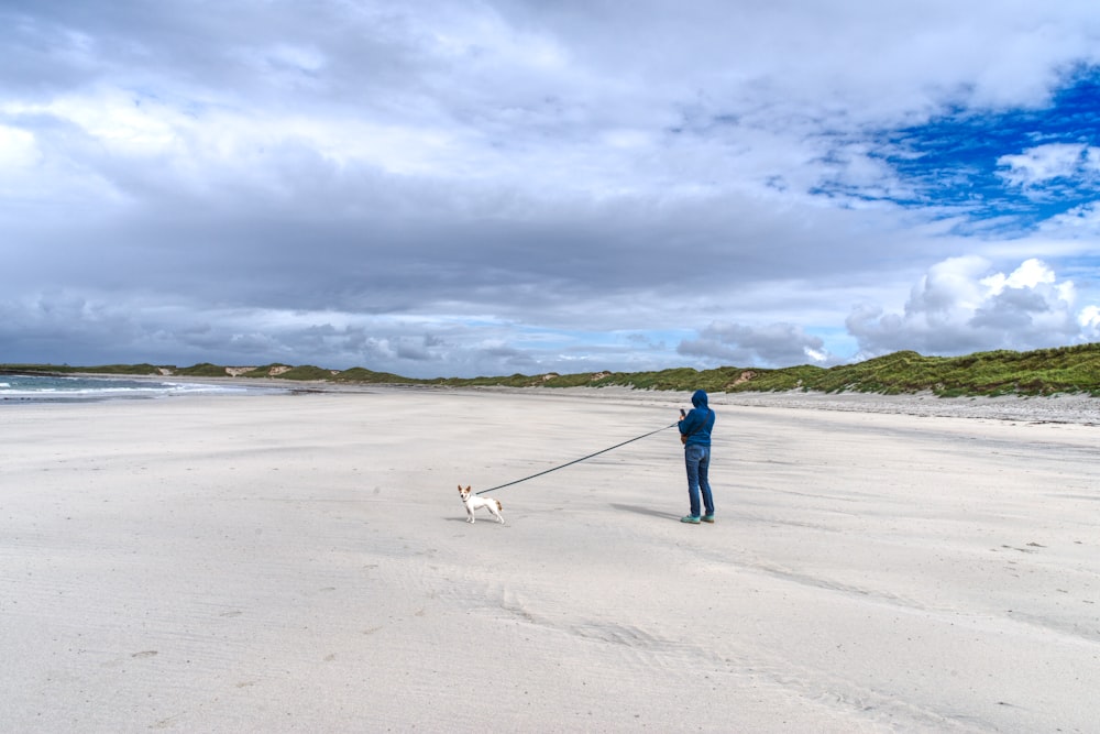 une personne promenant un chien sur une plage