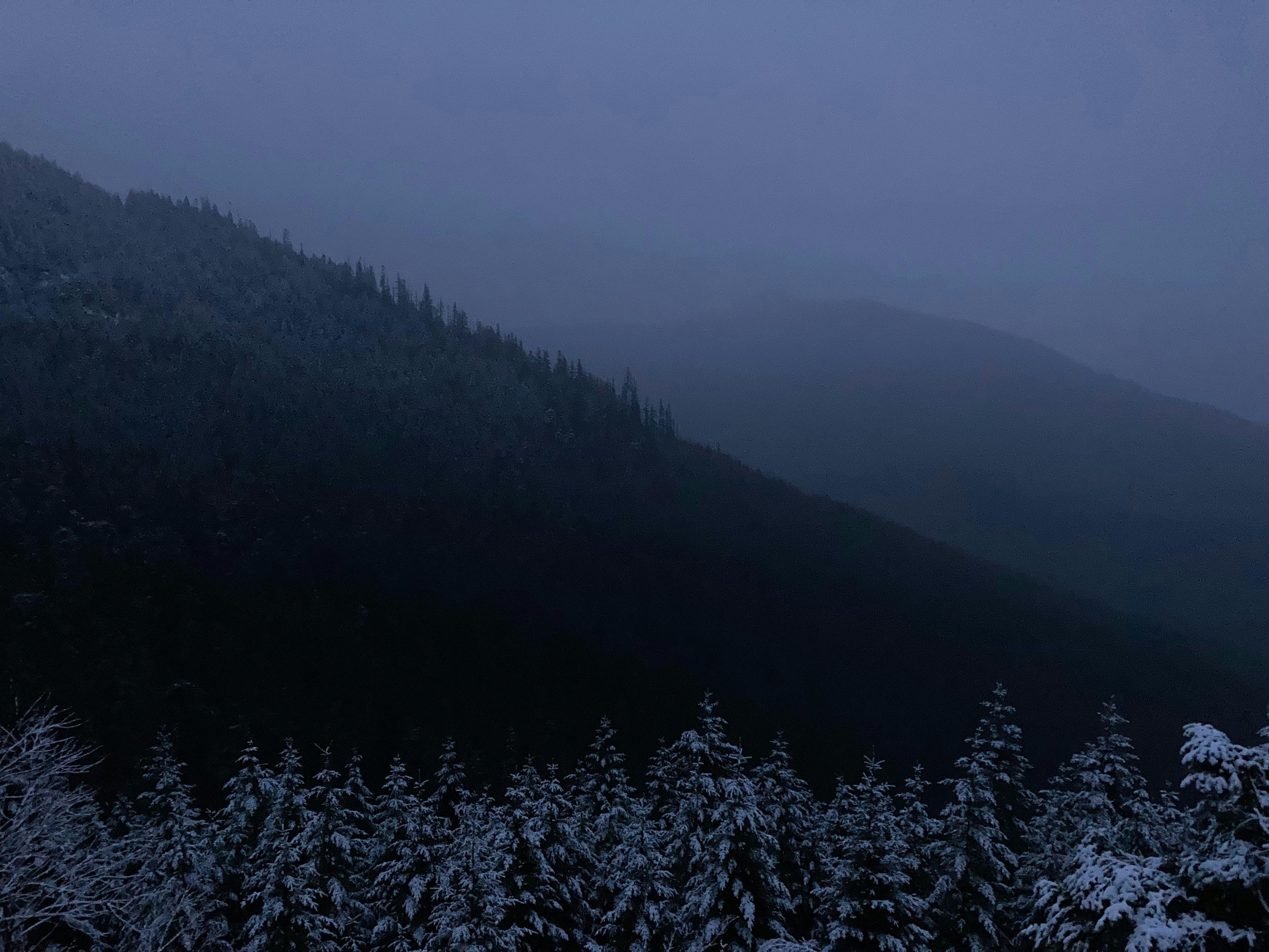 Photo by evelynelliott