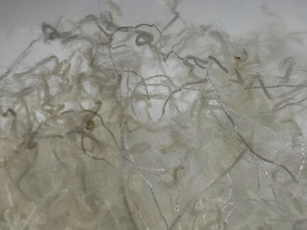 a close up of a bunch of hair on a table
