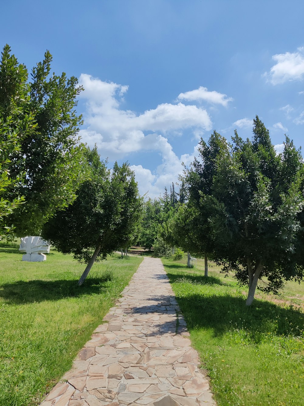 a stone path in the middle of a grassy field