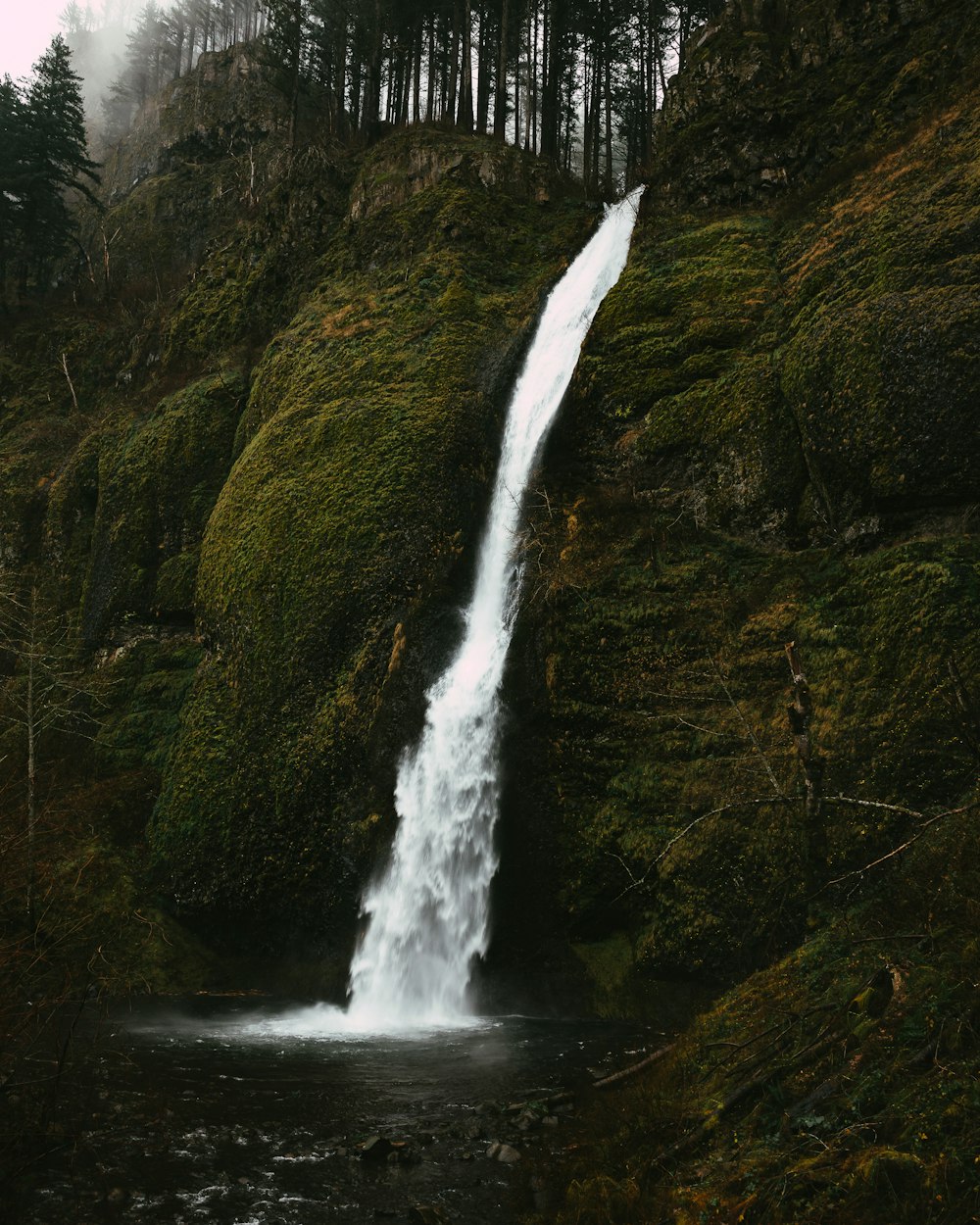 a small waterfall in the middle of a forest