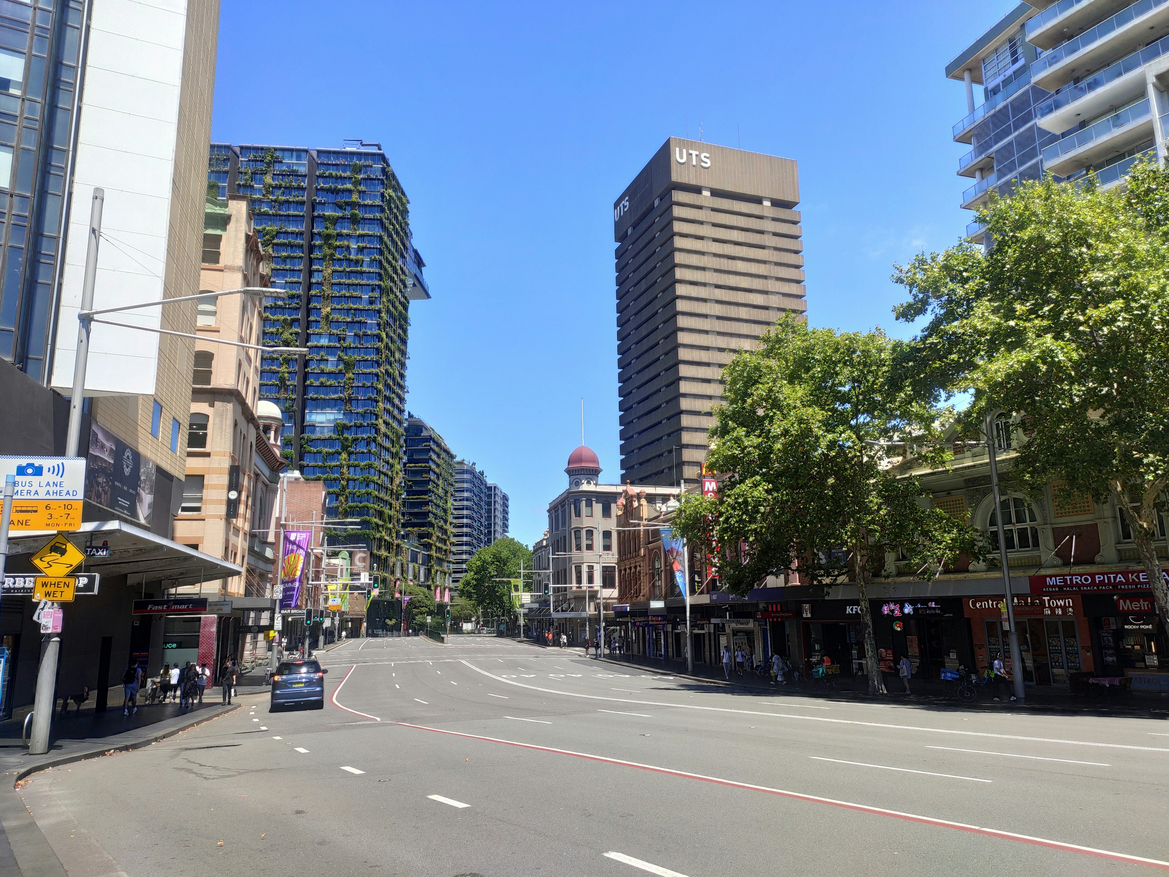 The Real Cost of DIY SEO for Brisbane Small Businesses