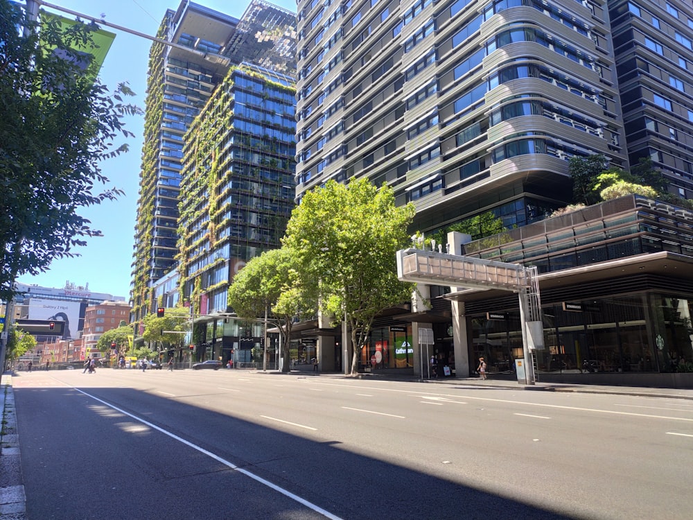a city street lined with tall buildings and trees