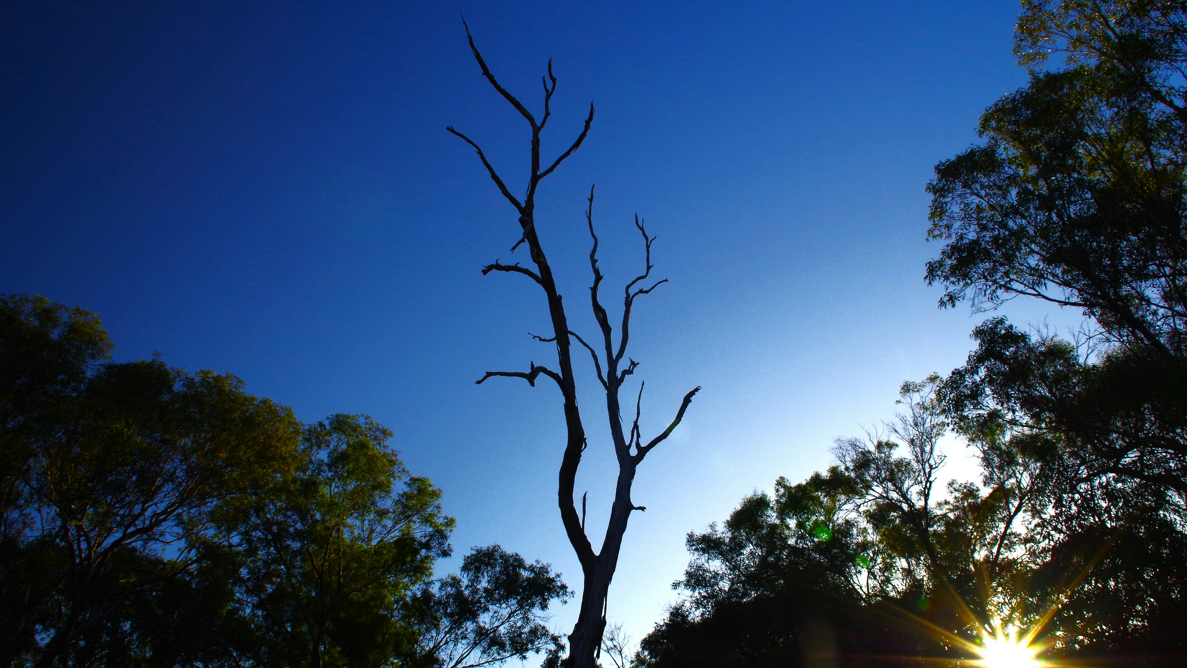 Photo by photoken123