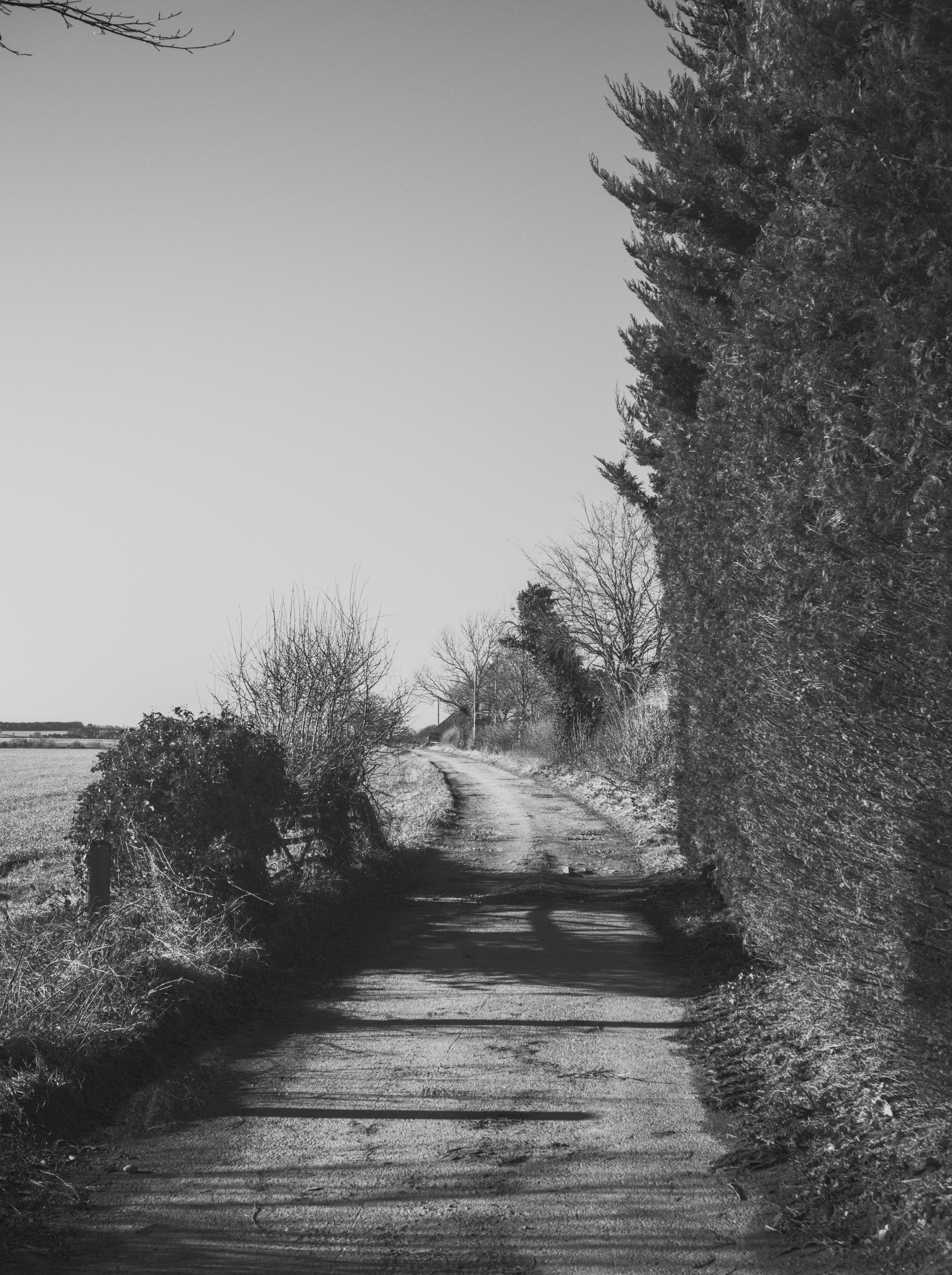 Photo by alexanderpharwood