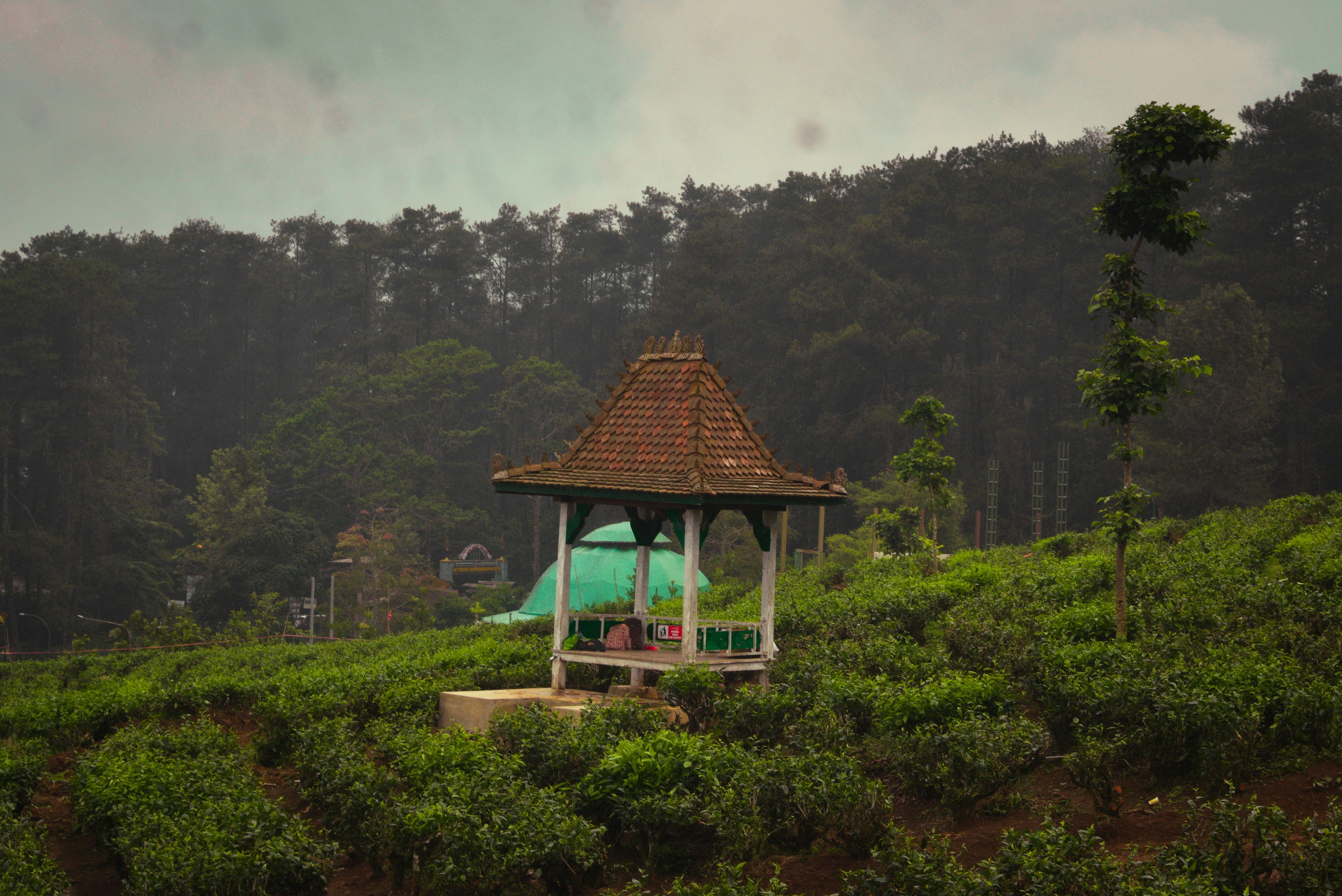 gazebo di tengah lapangan hijau subur