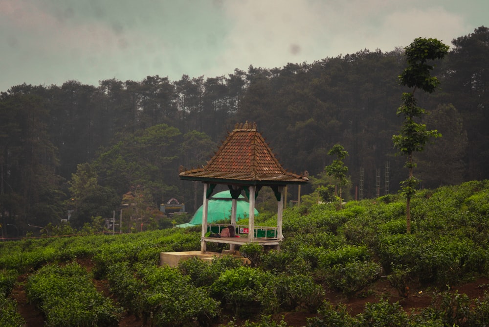 a gazebo in the middle of a lush green field