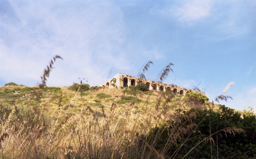 a building on top of a hill surrounded by tall grass