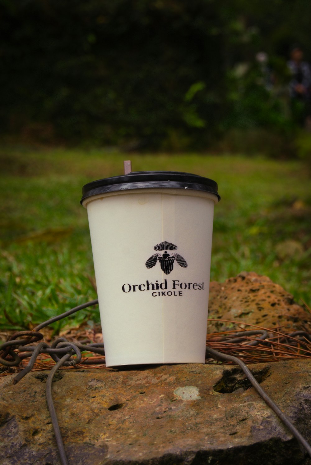 a cup of coffee sitting on top of a rock