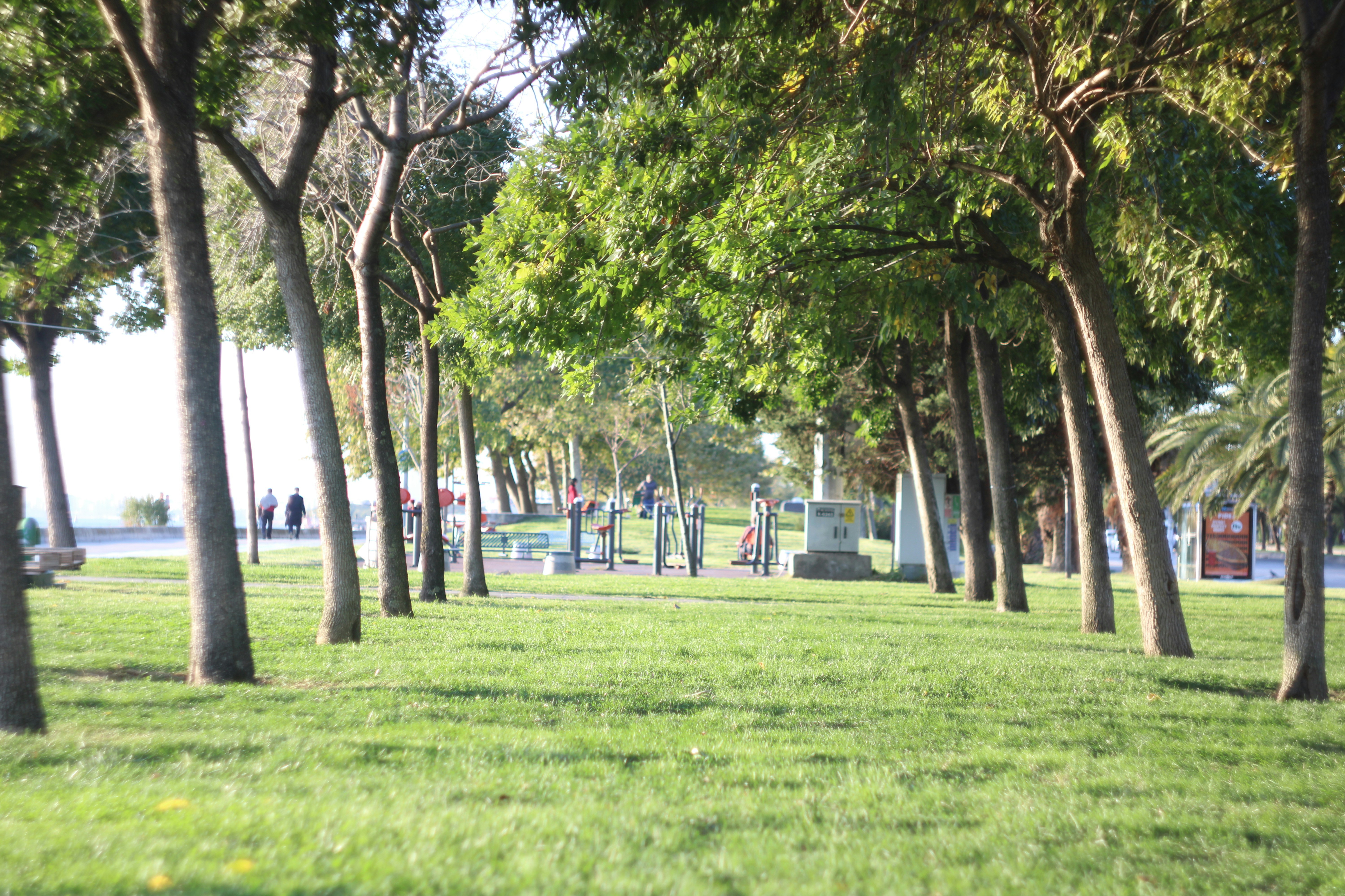 Photo by kaanmelhemci