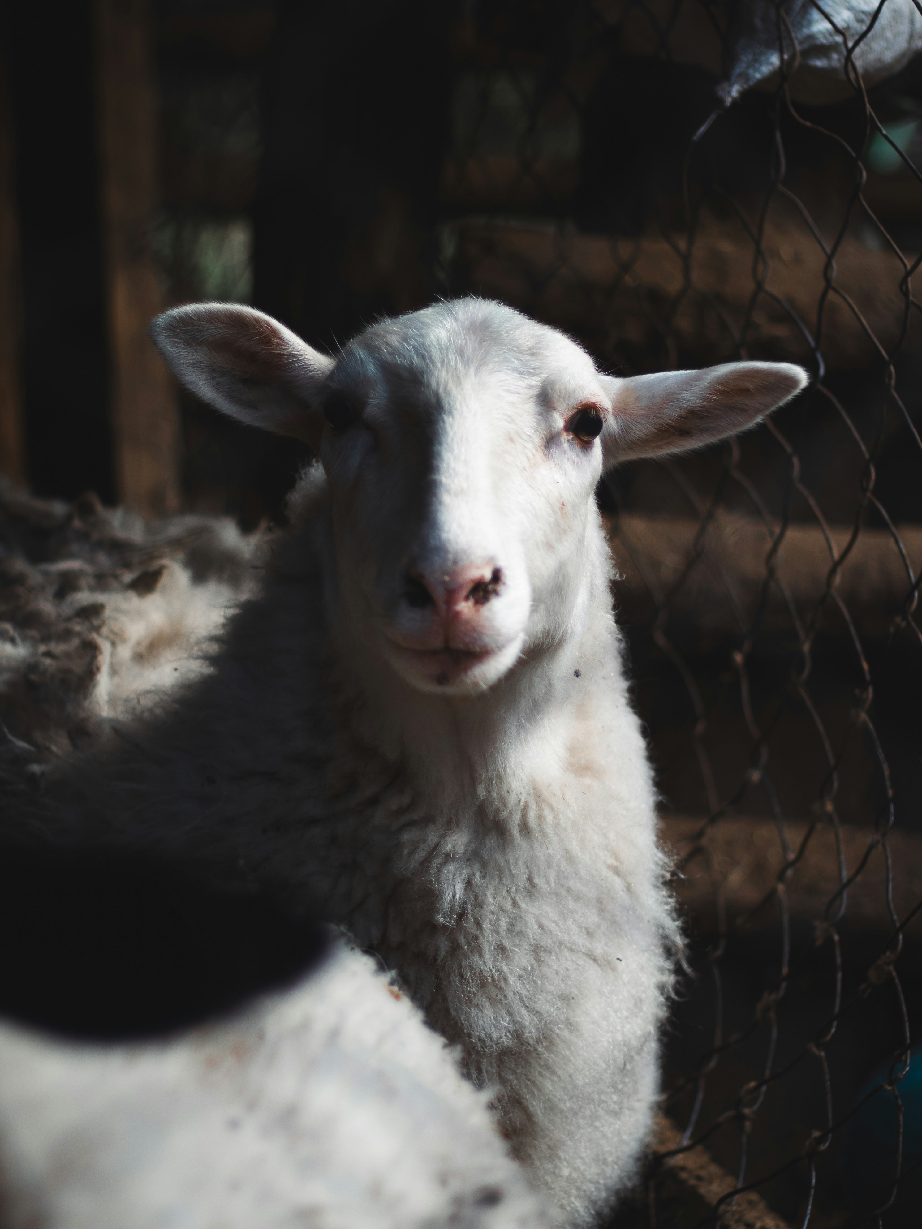 Photo by romstantino