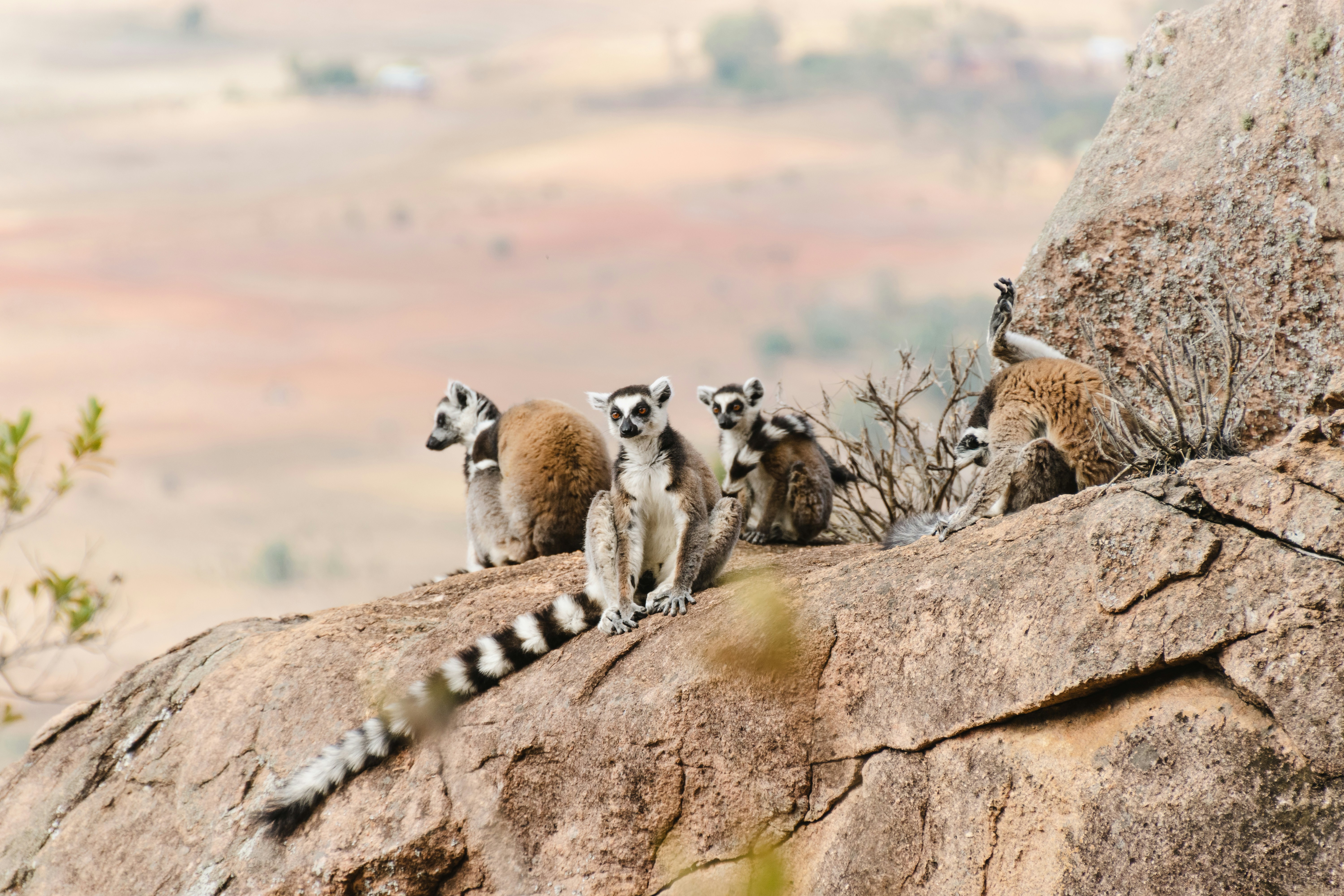 Stay online in the Madagascar with a prepaid eSIM from eSIMlii. Instant activation, no roaming charges, and reliable coverage.