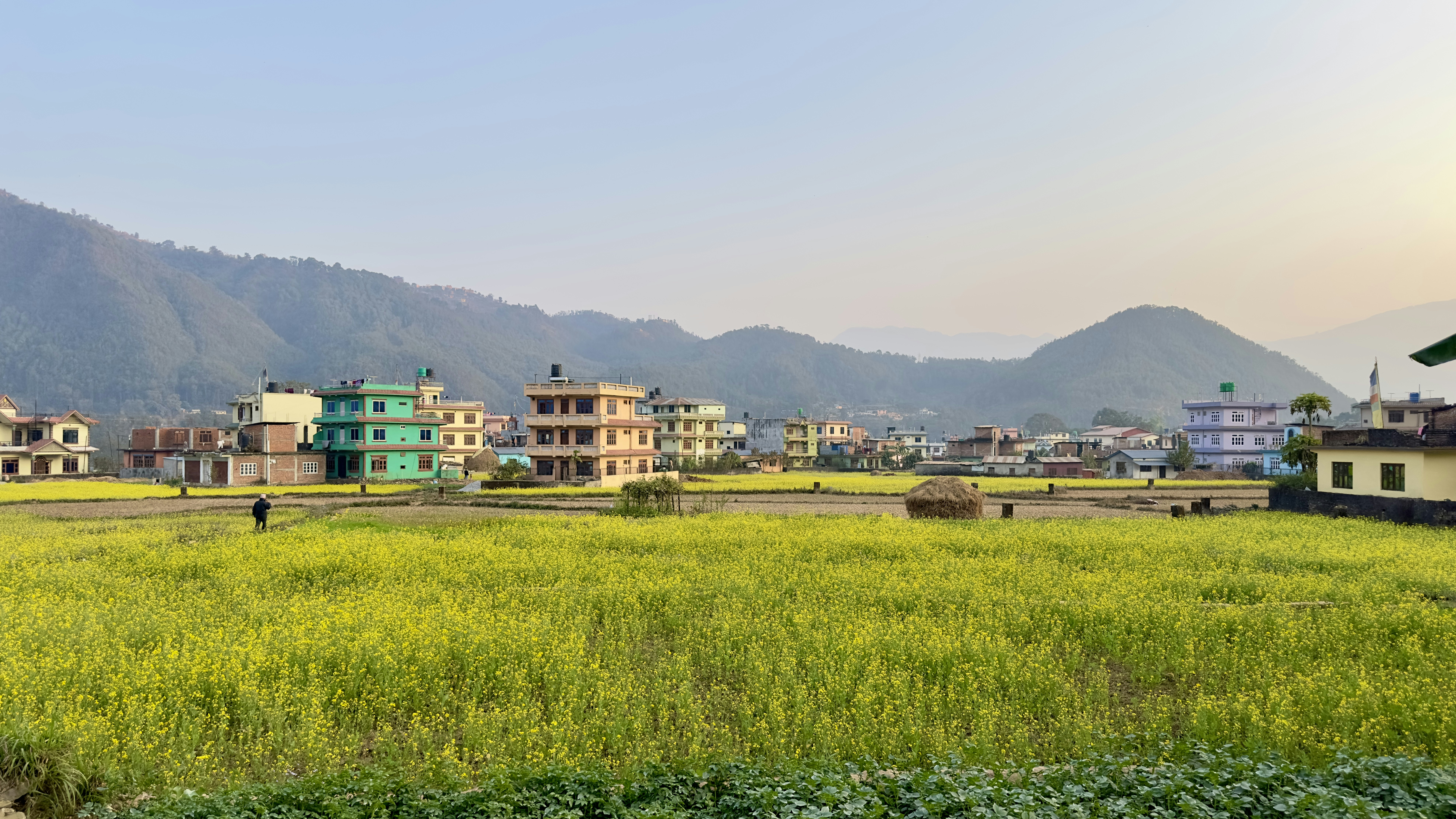eine grüne Wiese mit Häusern im Hintergrund