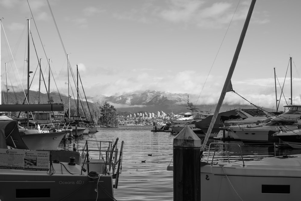a black and white photo of boats docked in a harbor