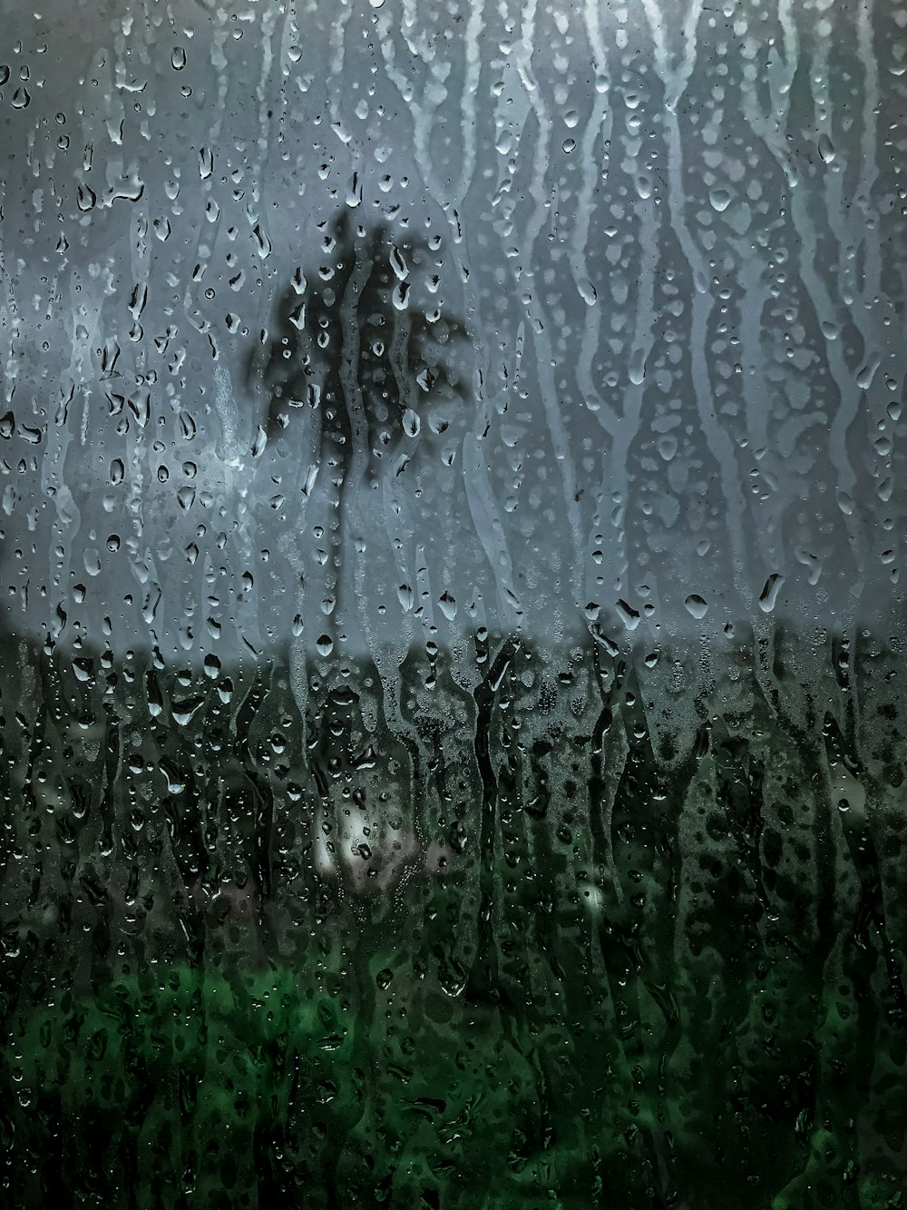 rain drops on a window with a tree in the background