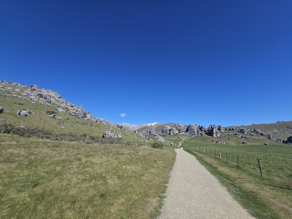 a path in the middle of a grassy field