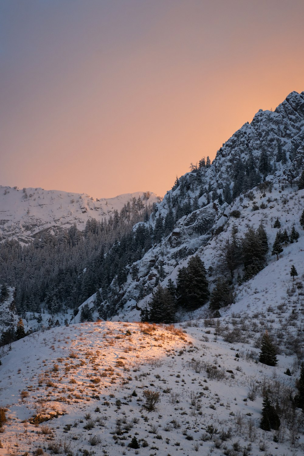 ein schneebedeckter Berg mit Bäumen an der Seite