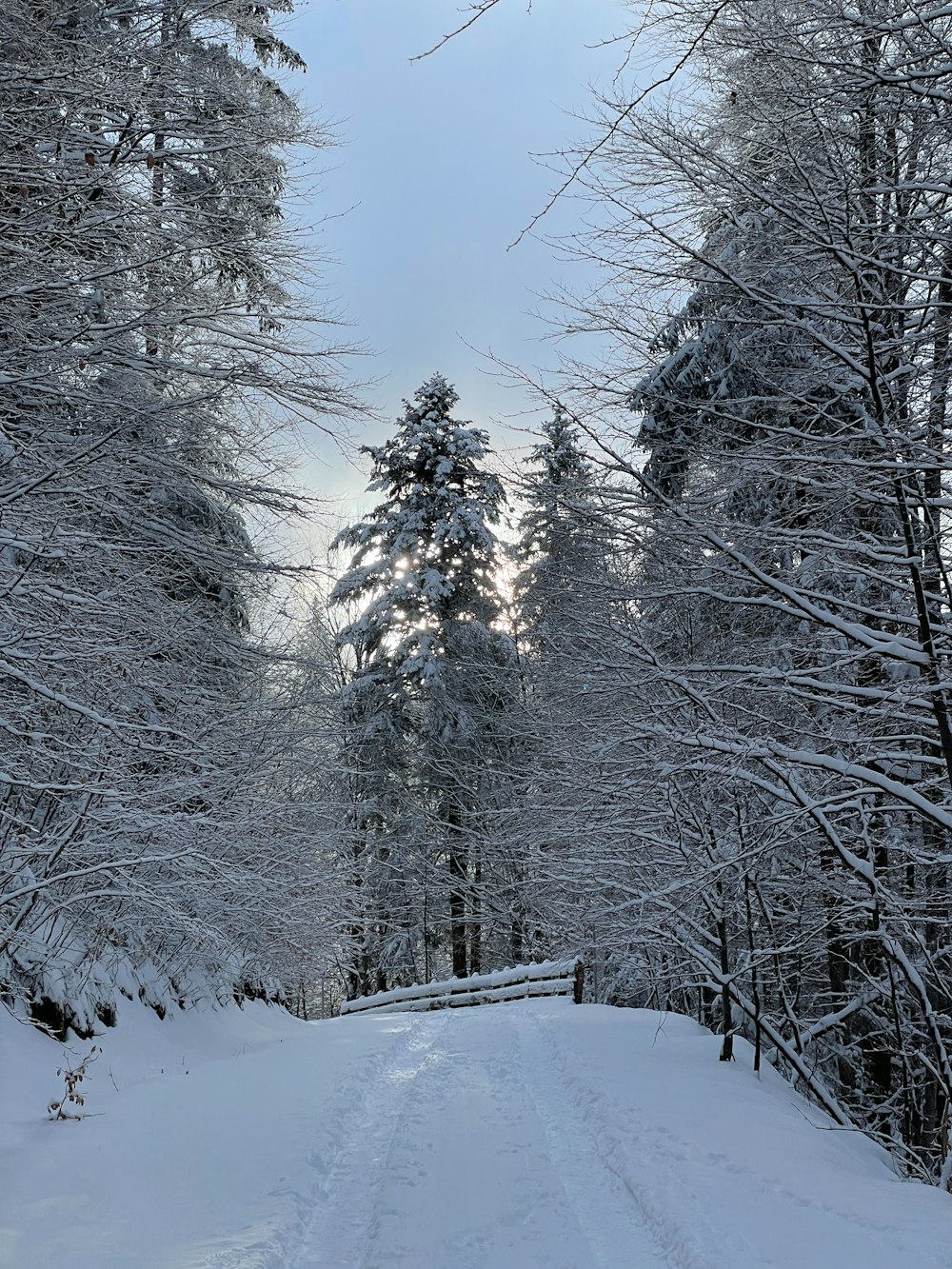 a snow covered road in the middle of a forest