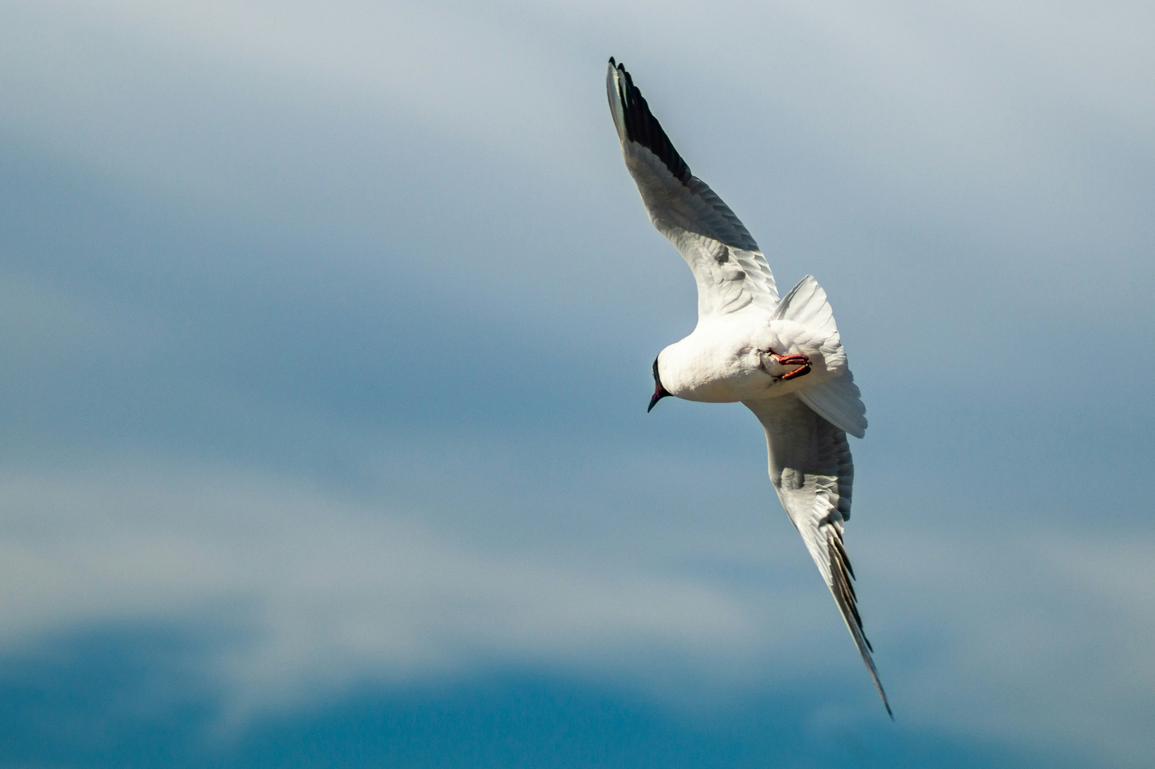 Photo by vintersphoto