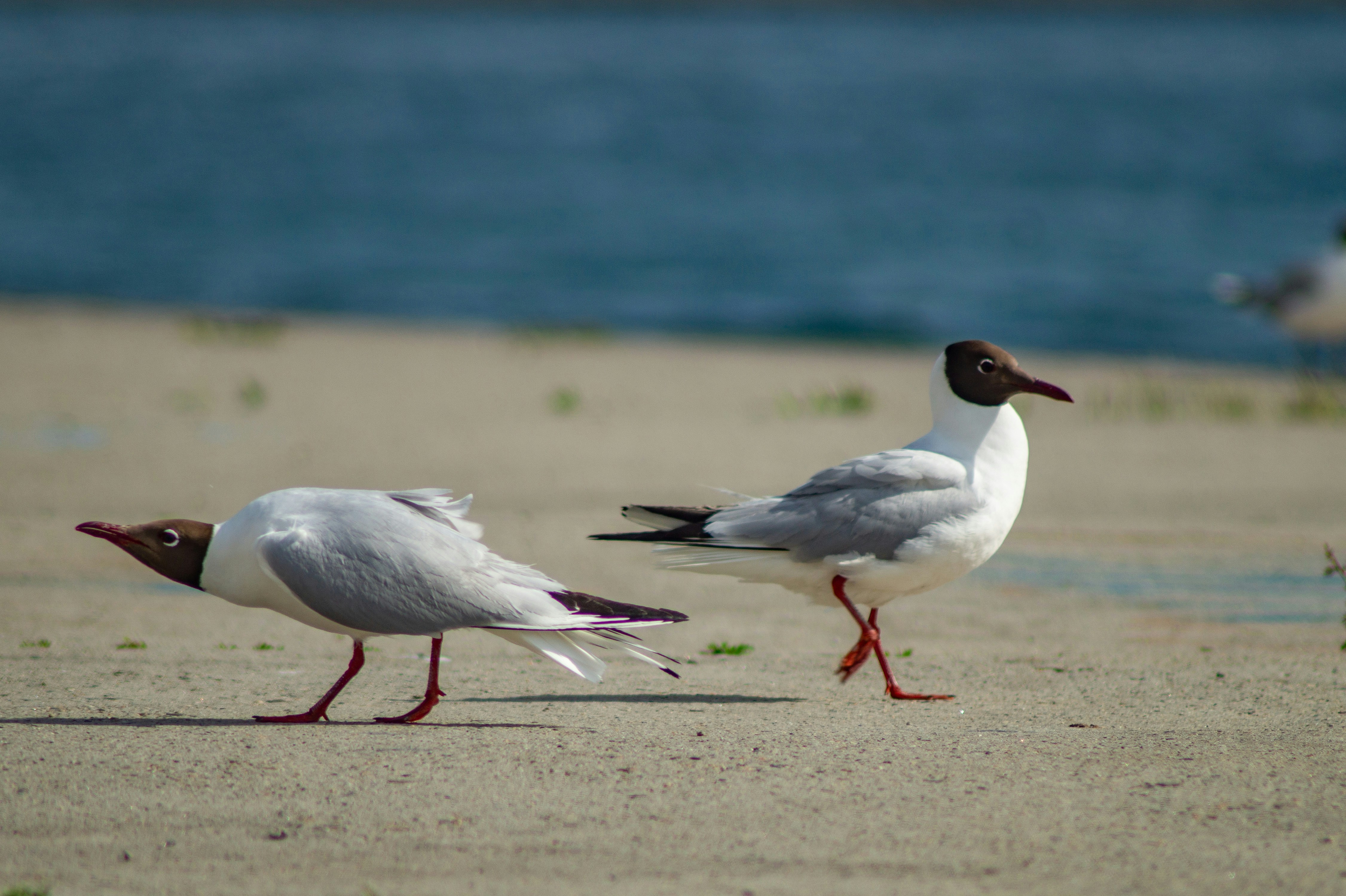 Photo by vintersphoto