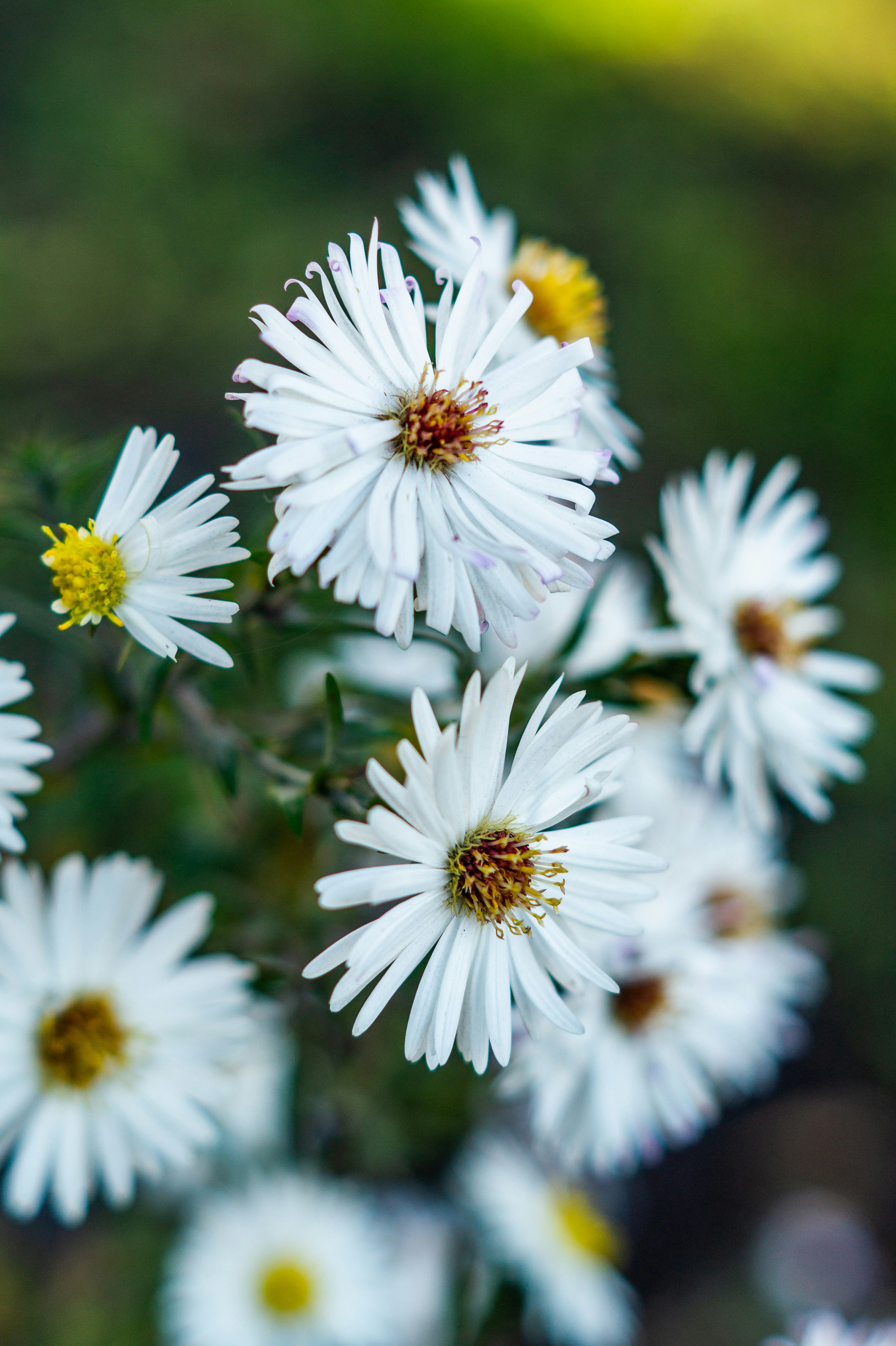 Photo by vintersphoto