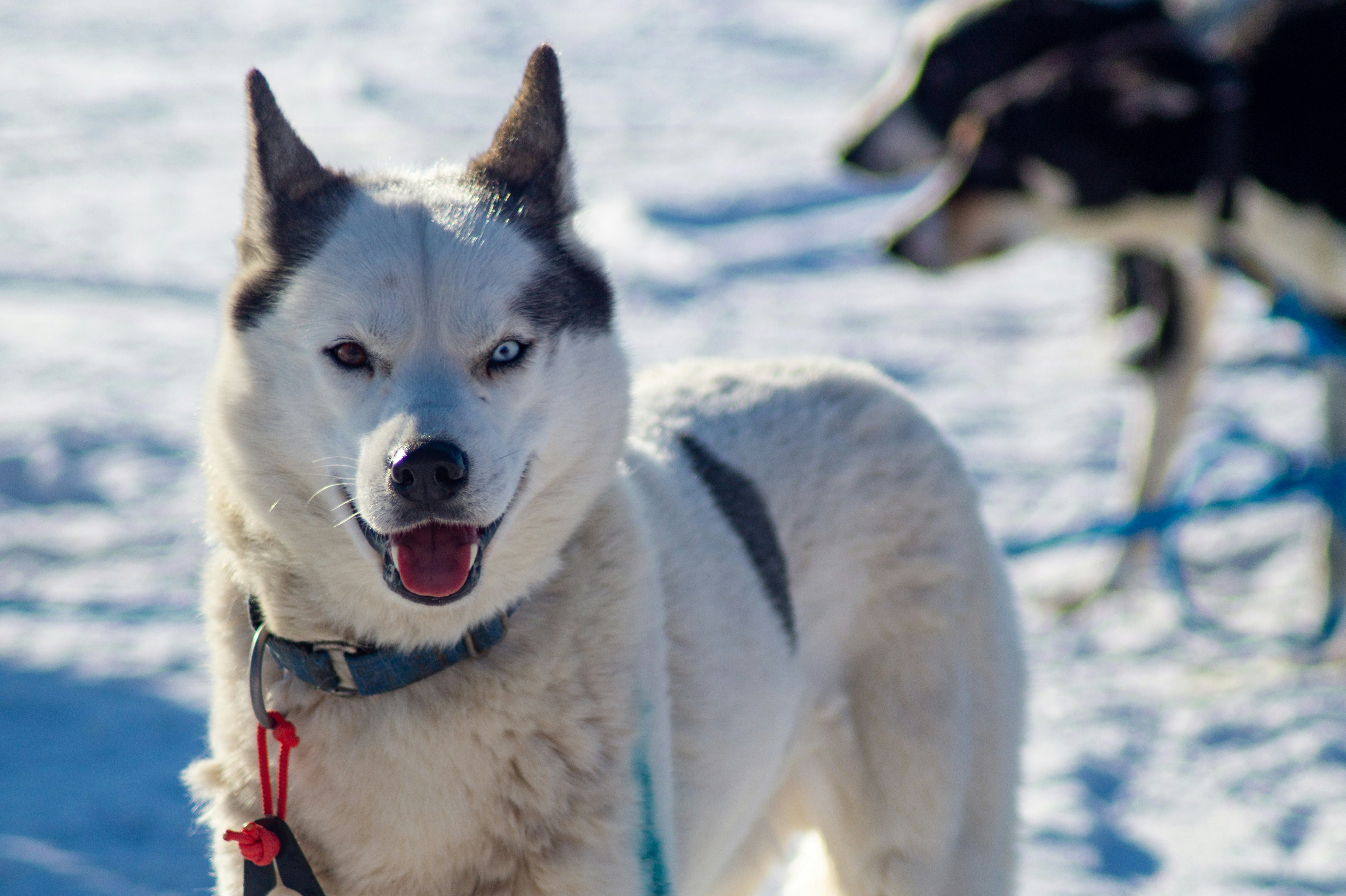 Photo by vintersphoto