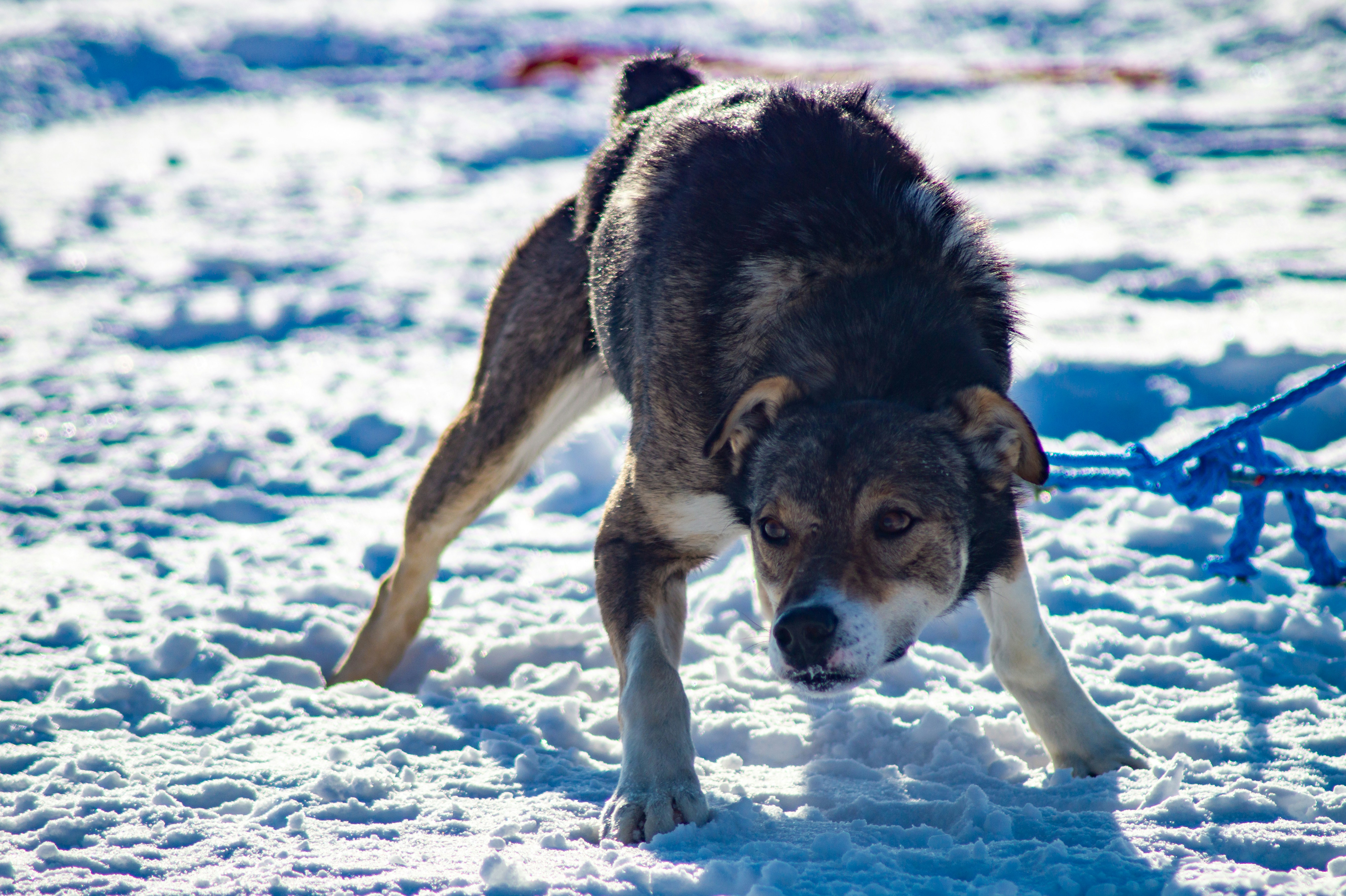 Photo by vintersphoto