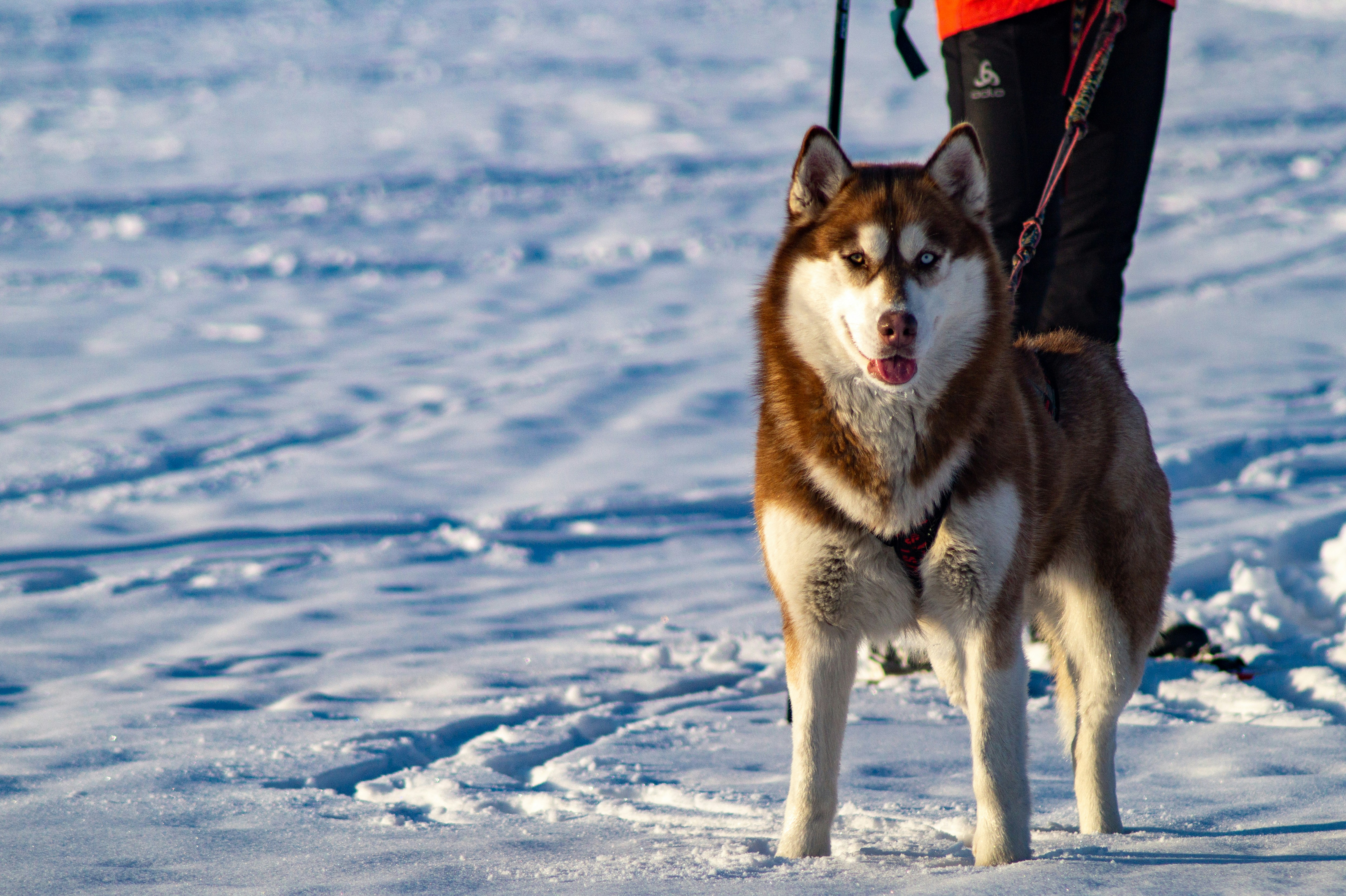 Photo by vintersphoto