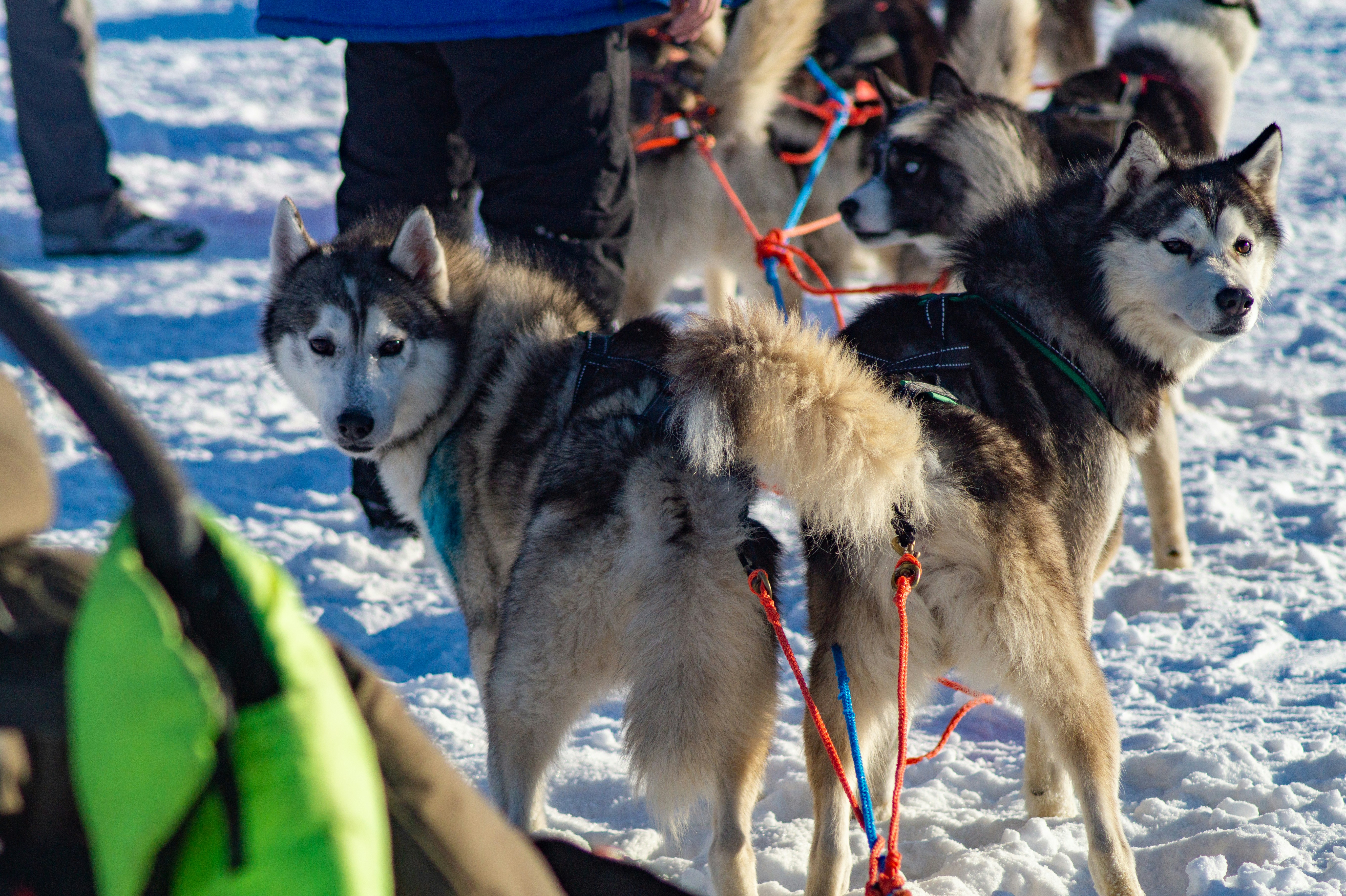 Photo by vintersphoto