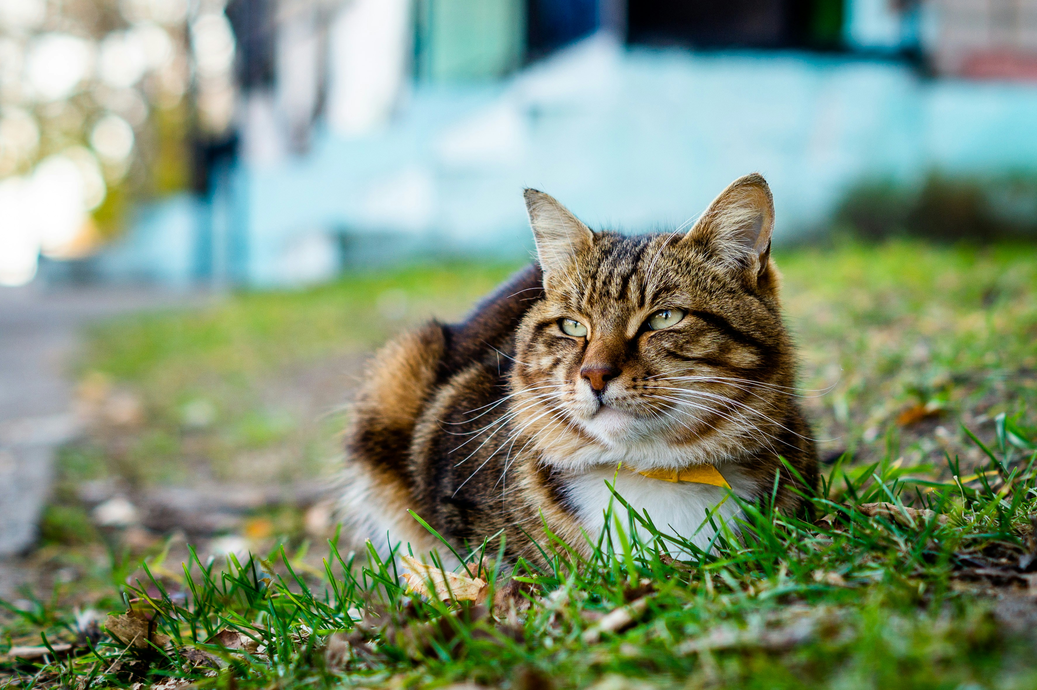 Photo by vintersphoto