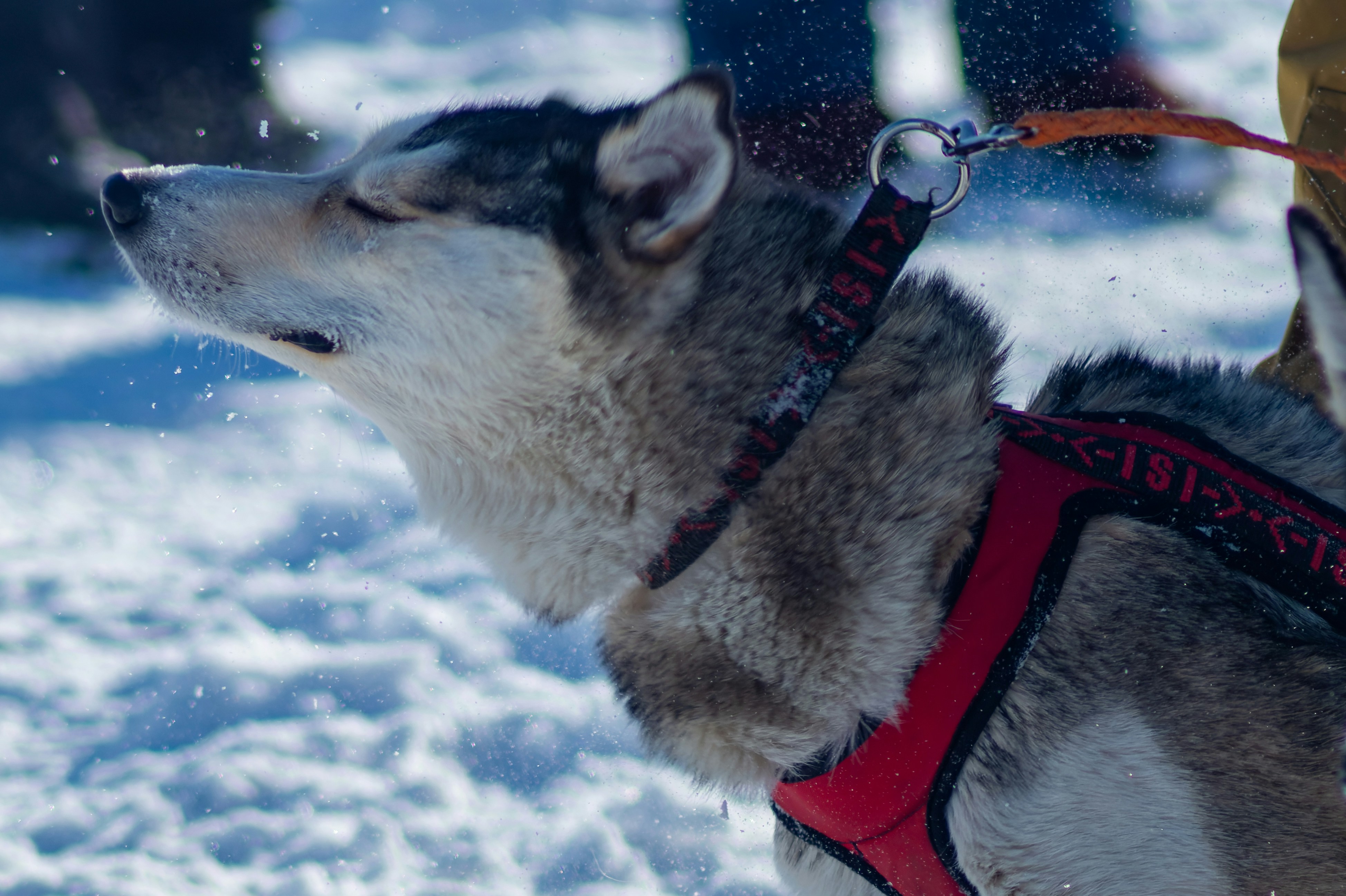 Photo by vintersphoto