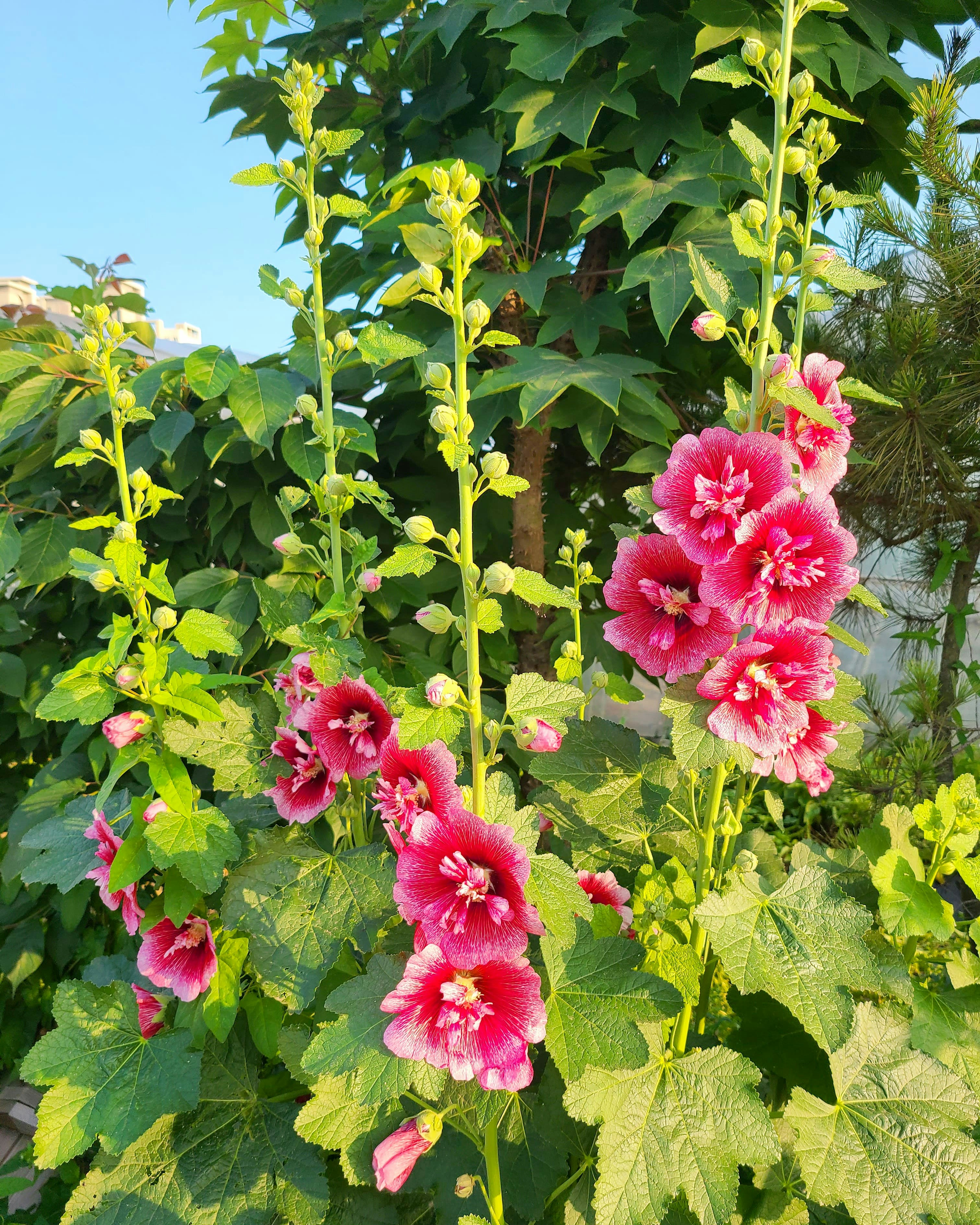 Photo by intp4370