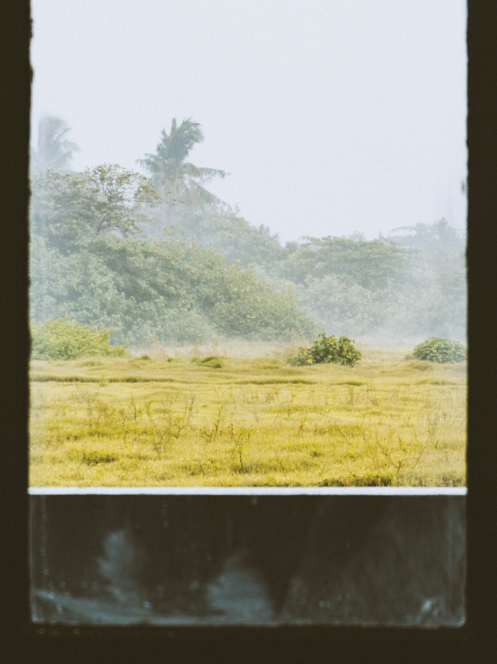 a view of a field through a window