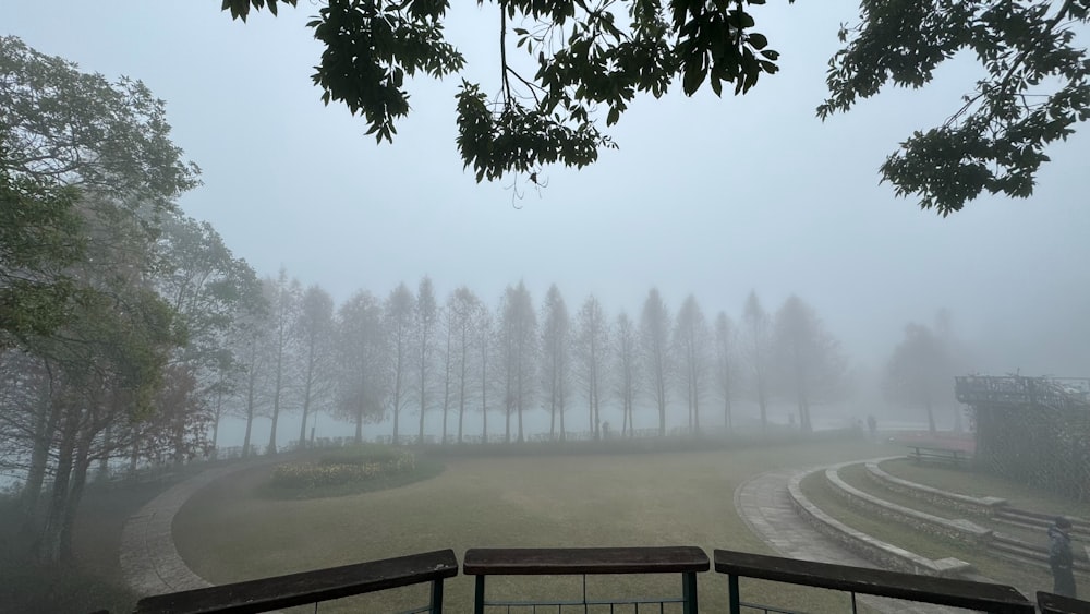 a foggy park with benches and trees